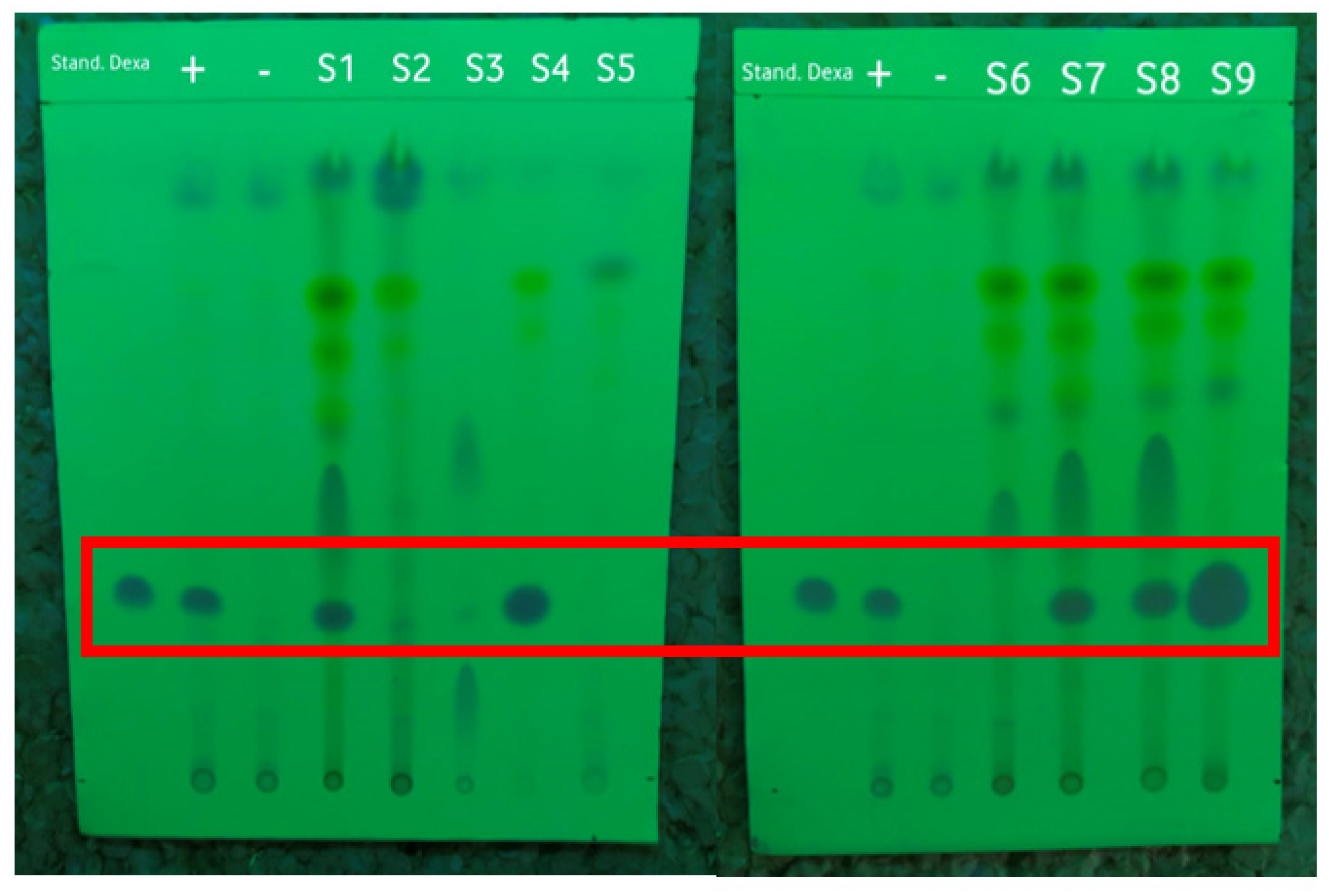 Polymers 15 02862 g003