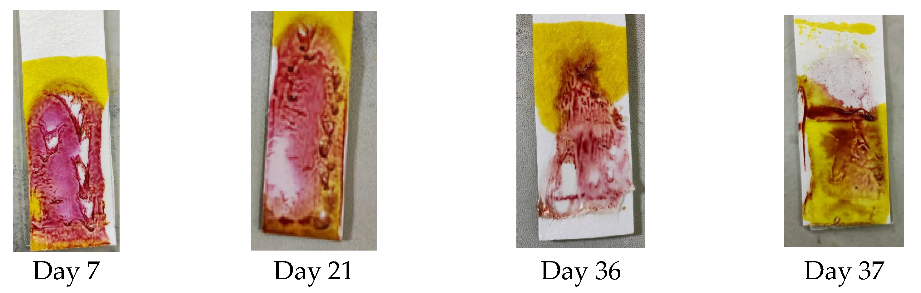 Polymers 15 02862 g005
