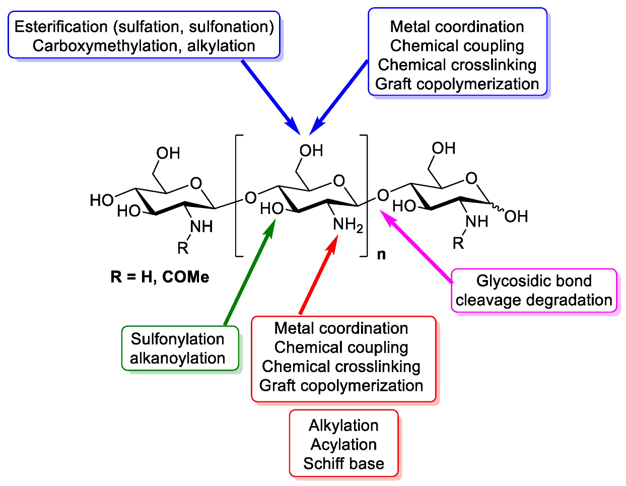Polymers 15 02867 g001