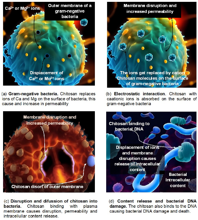 Polymers 15 02867 g002
