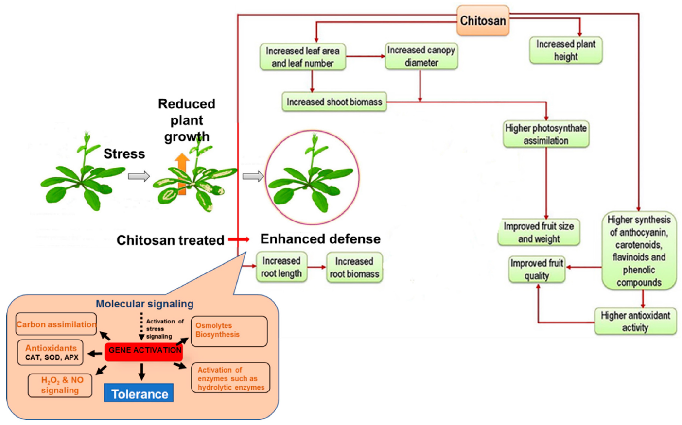 Polymers 15 02867 g003
