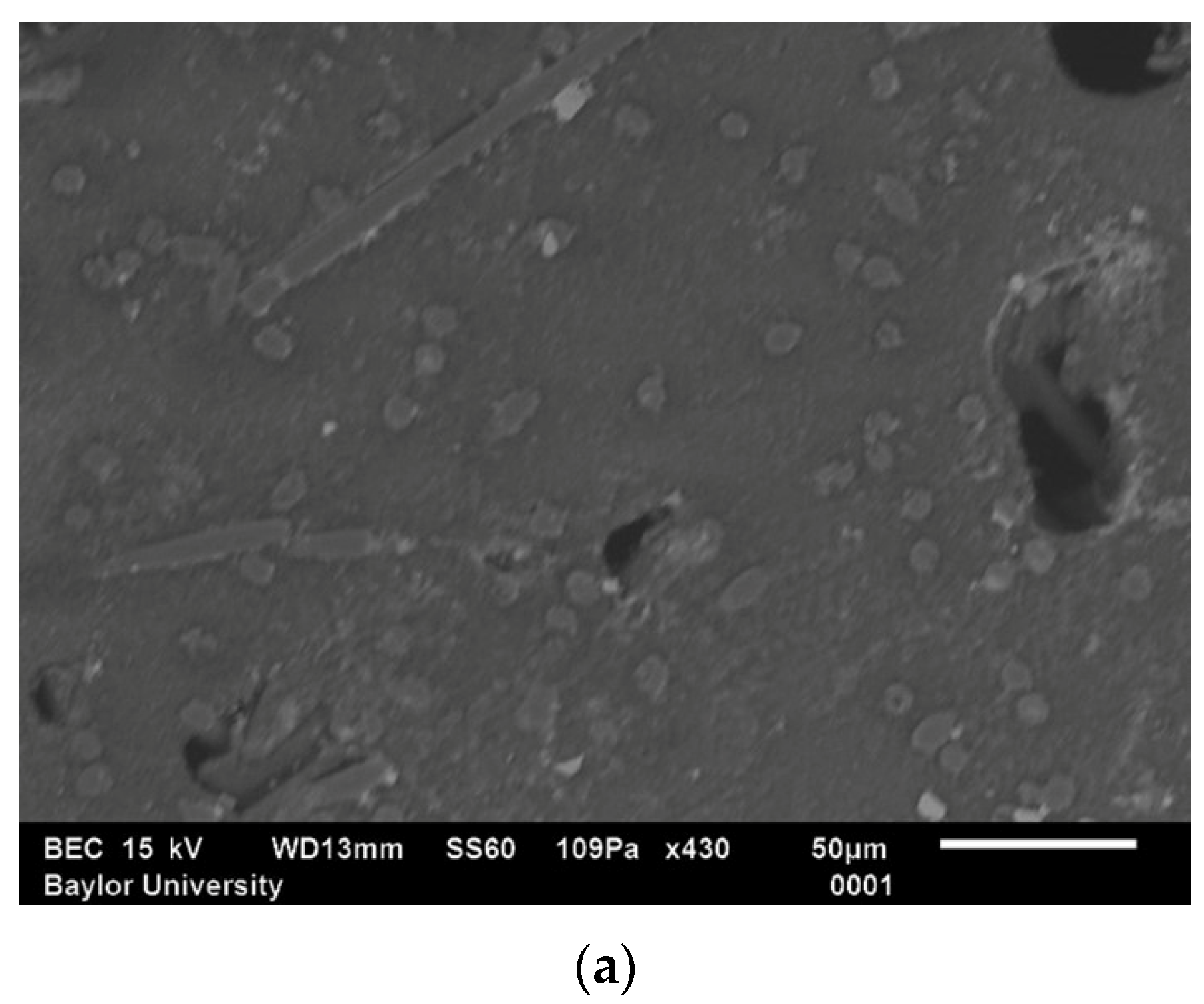 Polymers 15 02871 g001a Polymers 15 02871 g001a