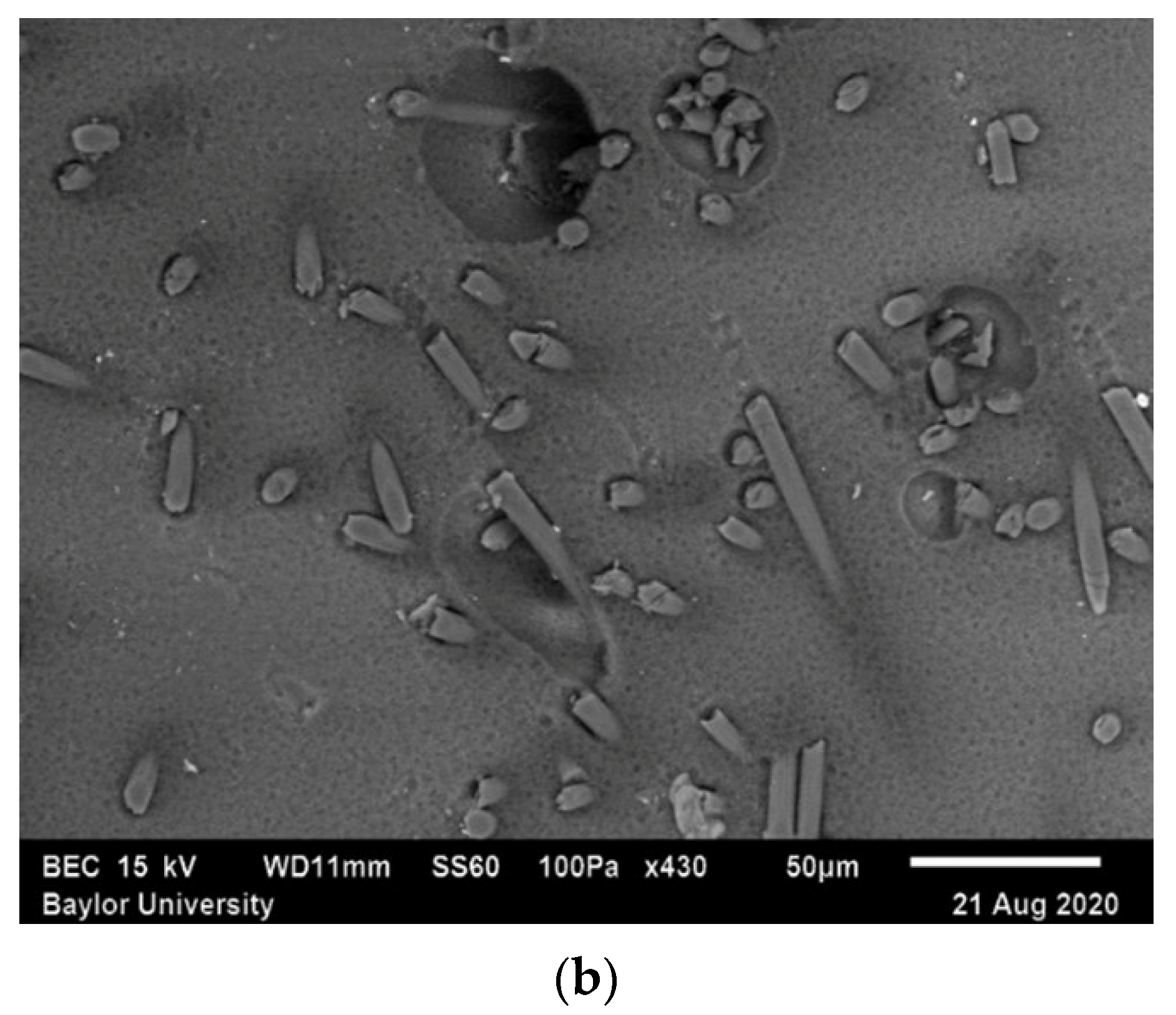 Polymers 15 02871 g001b Polymers 15 02871 g001b