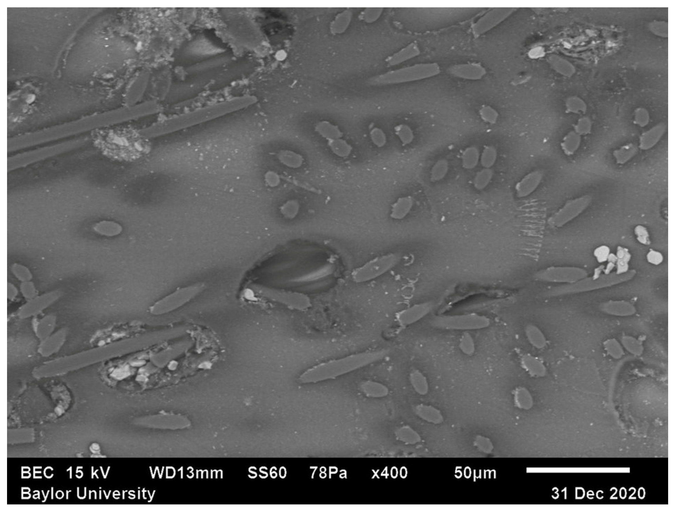 Polymers 15 02871 g004 Polymers 15 02871 g004