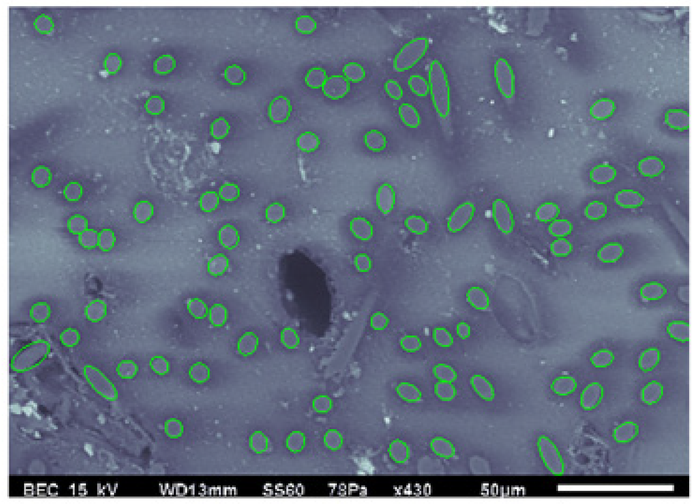 Polymers 15 02871 g008 Polymers 15 02871 g008