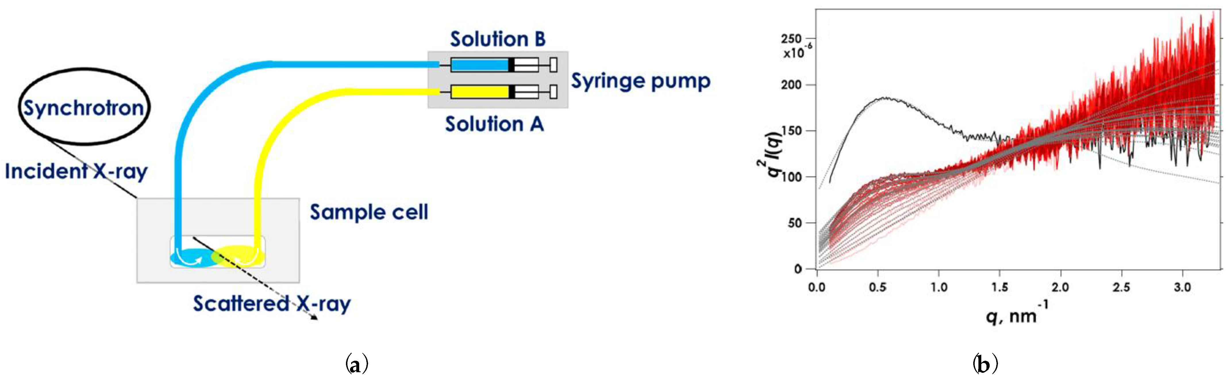 Polymers 15 02875 g008