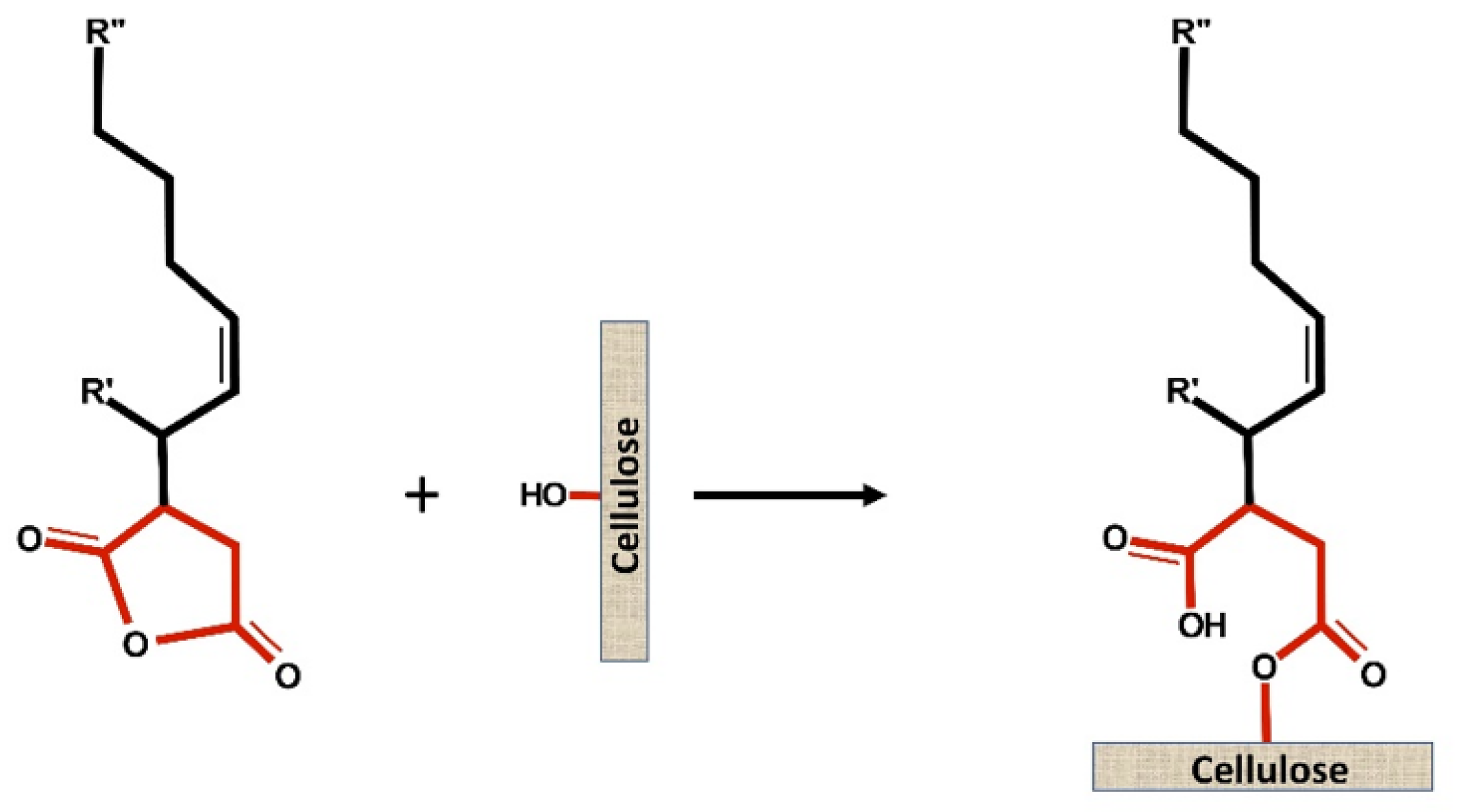 Polymers 15 02876 g001 Polymers 15 02876 g001