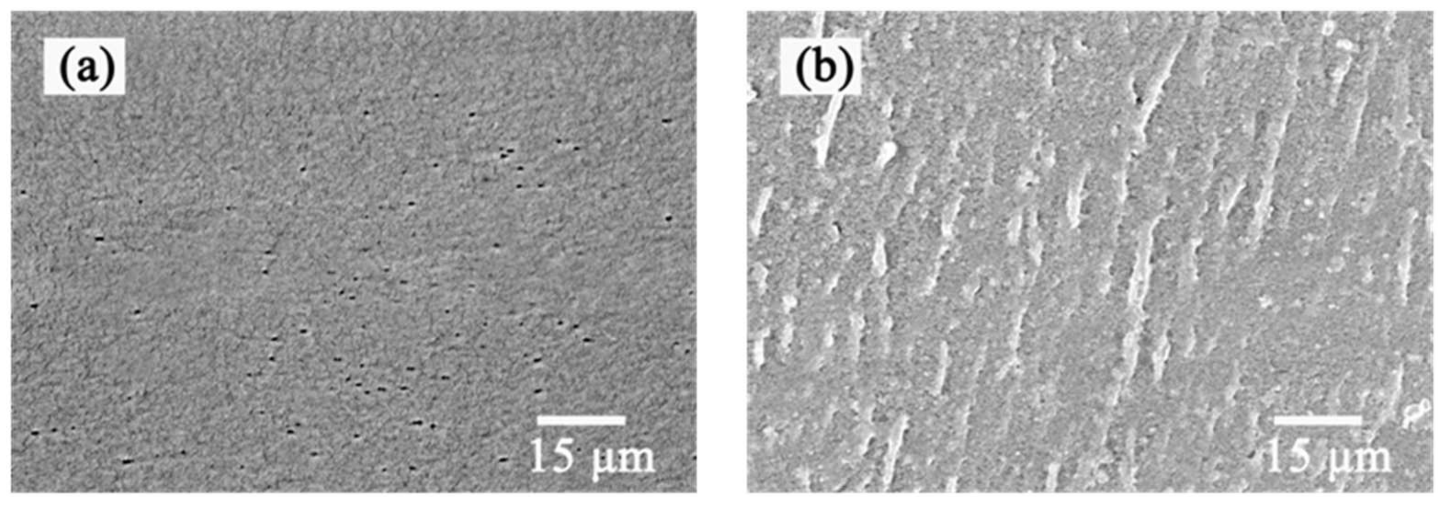 Polymers 15 02881 g003