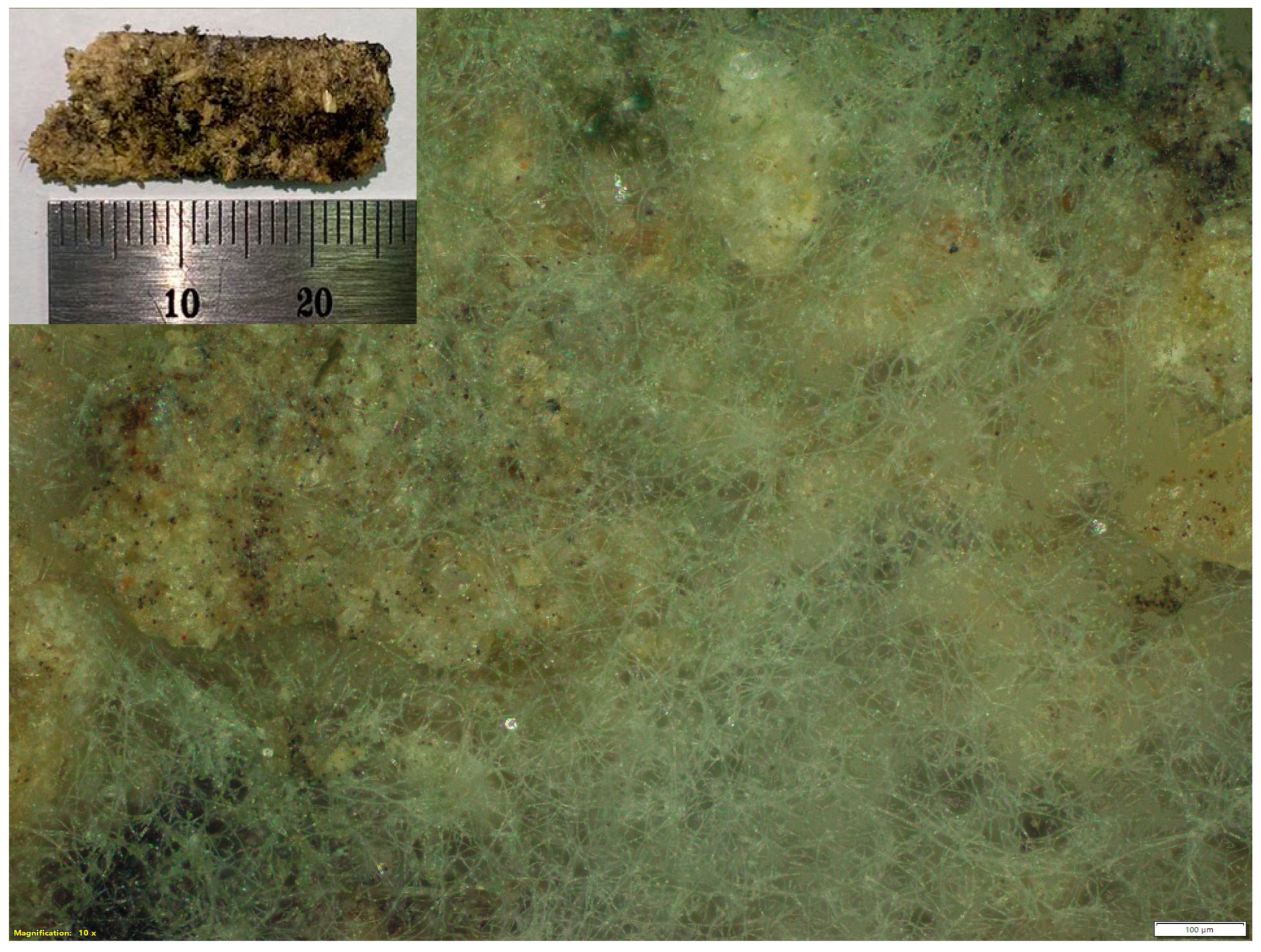 Polymers 15 02895 g008 Polymers 15 02895 g008