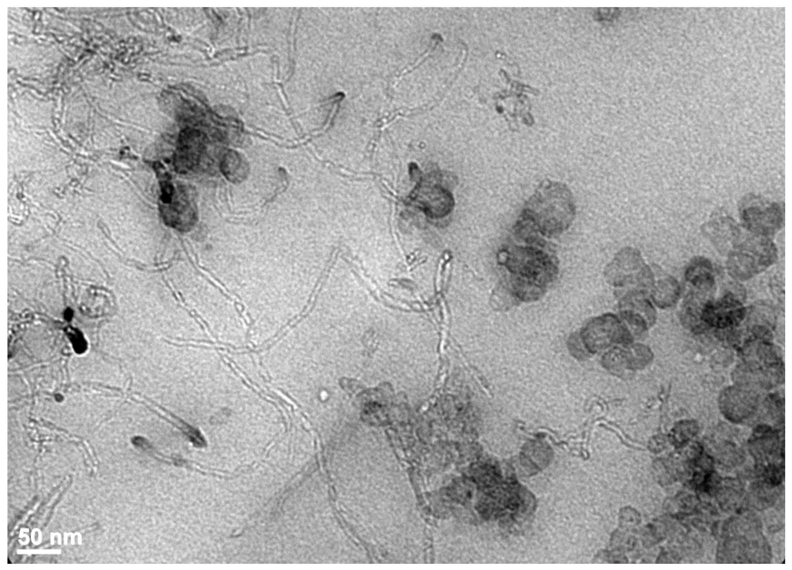 Polymers 15 02900 g006 Polymers 15 02900 g006