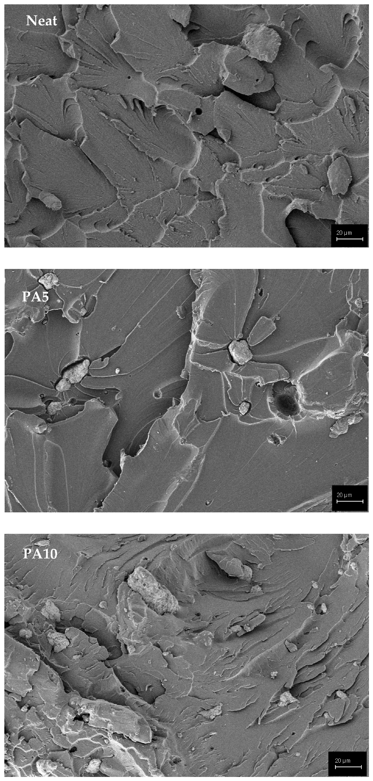 Polymers 15 02904 g008a Polymers 15 02904 g008a