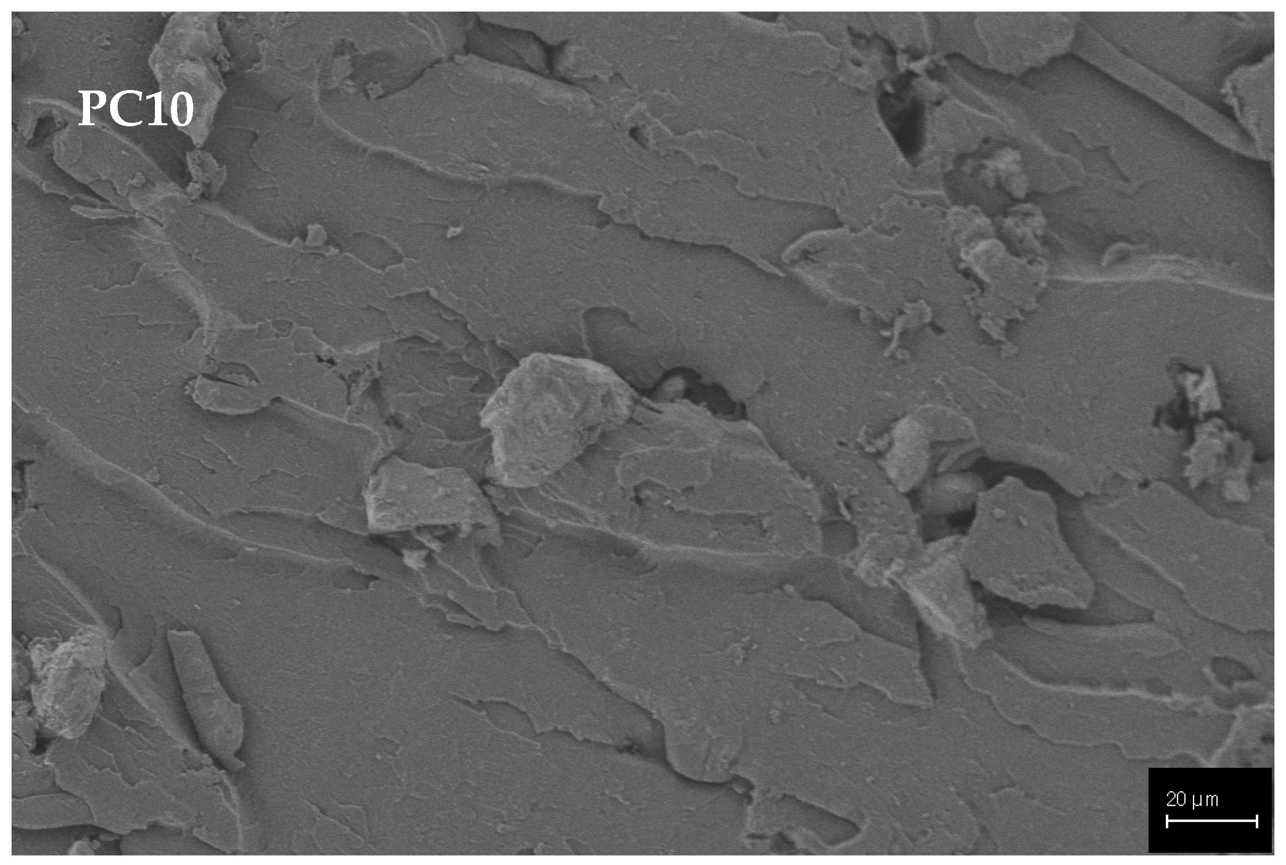 Polymers 15 02904 g008c Polymers 15 02904 g008c