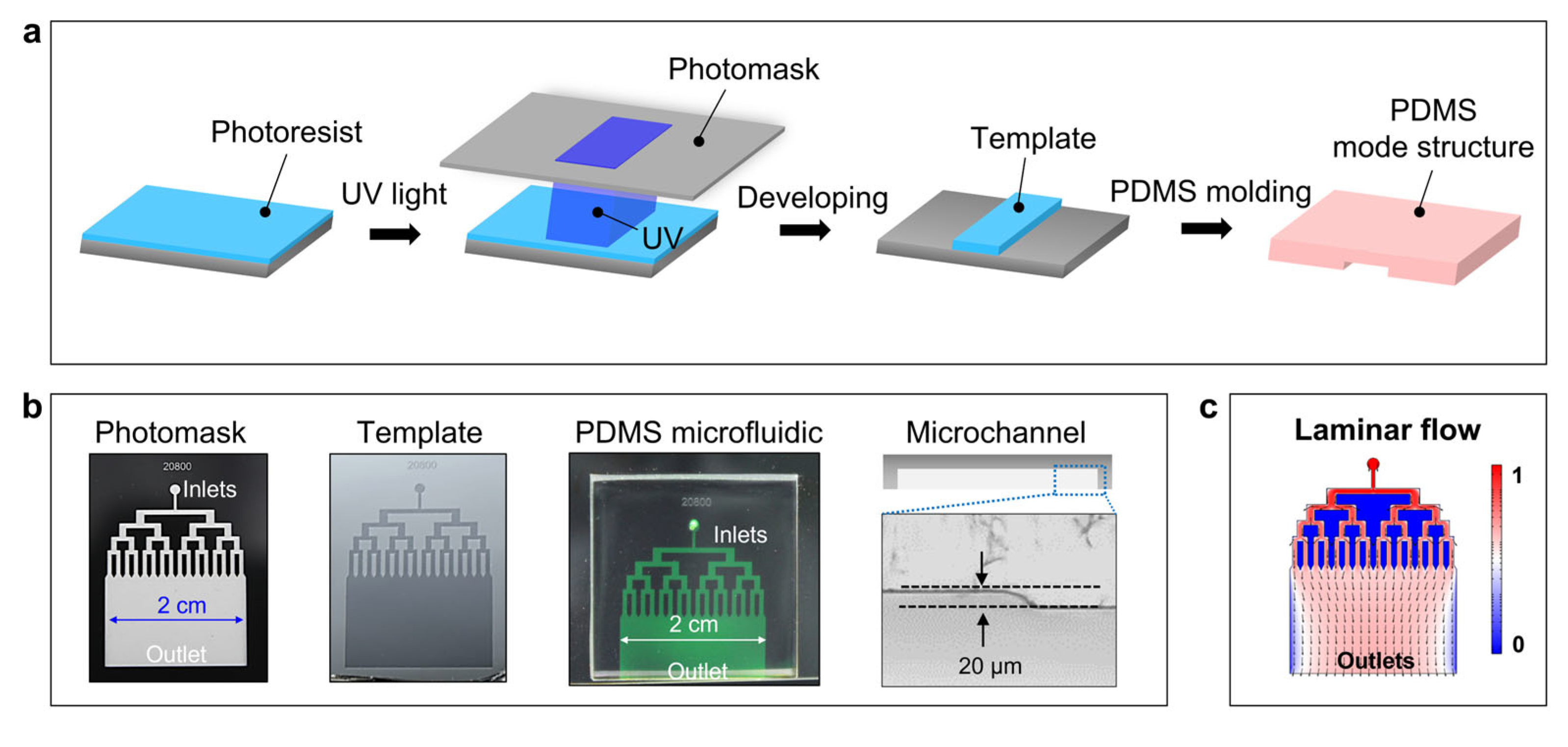 Polymers 15 02905 g001
