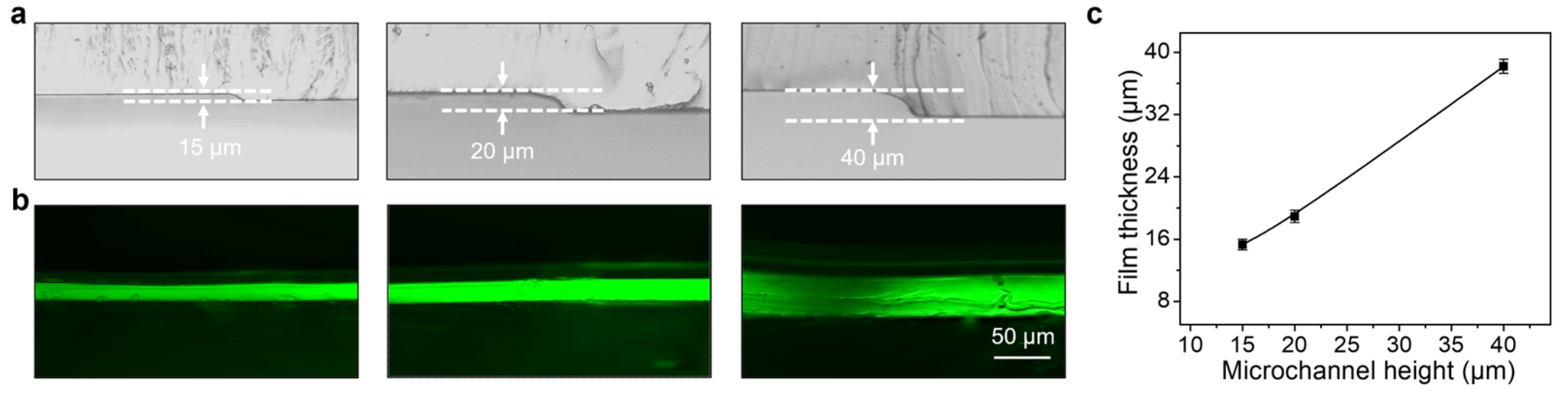 Polymers 15 02905 g004