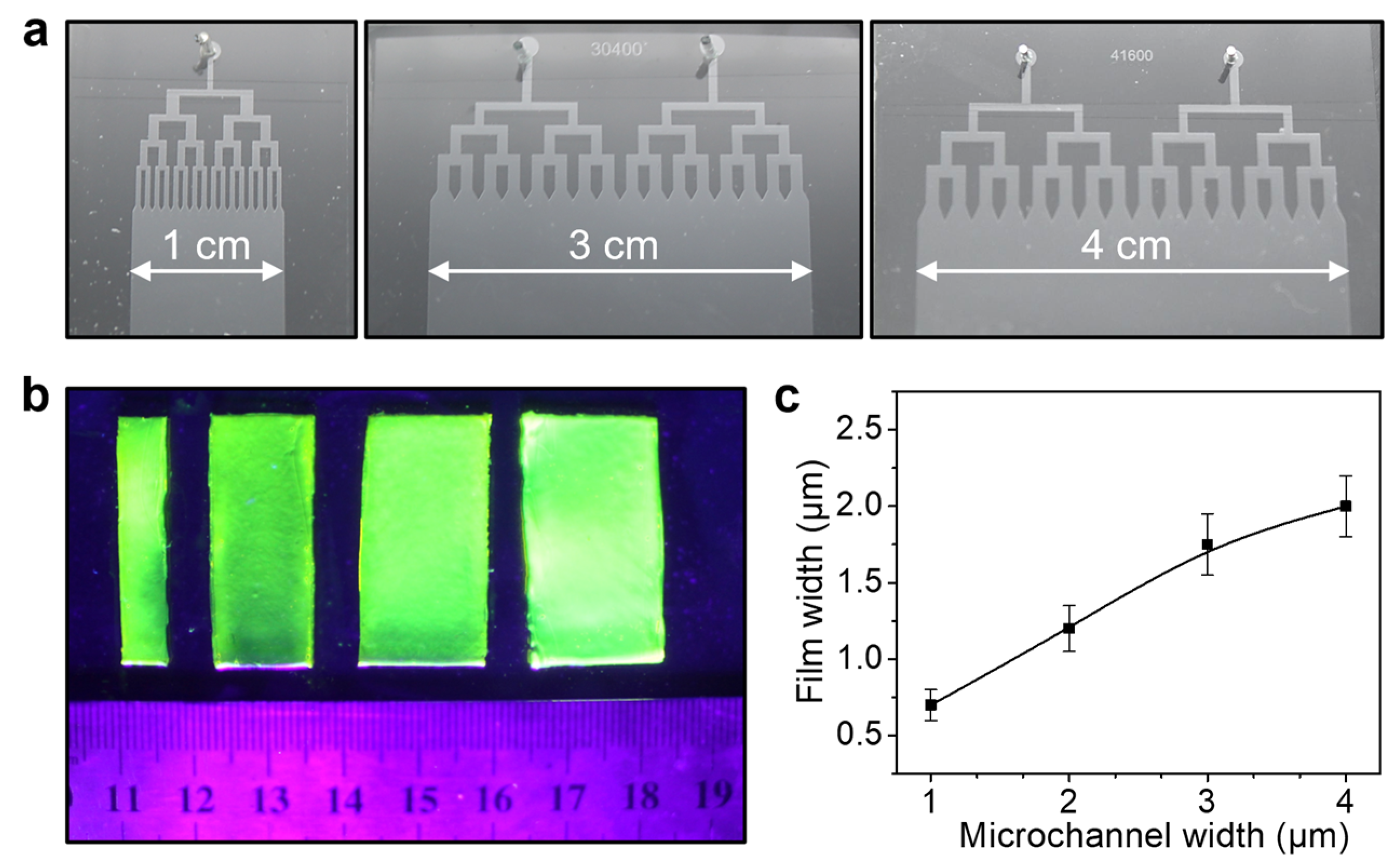 Polymers 15 02905 g005