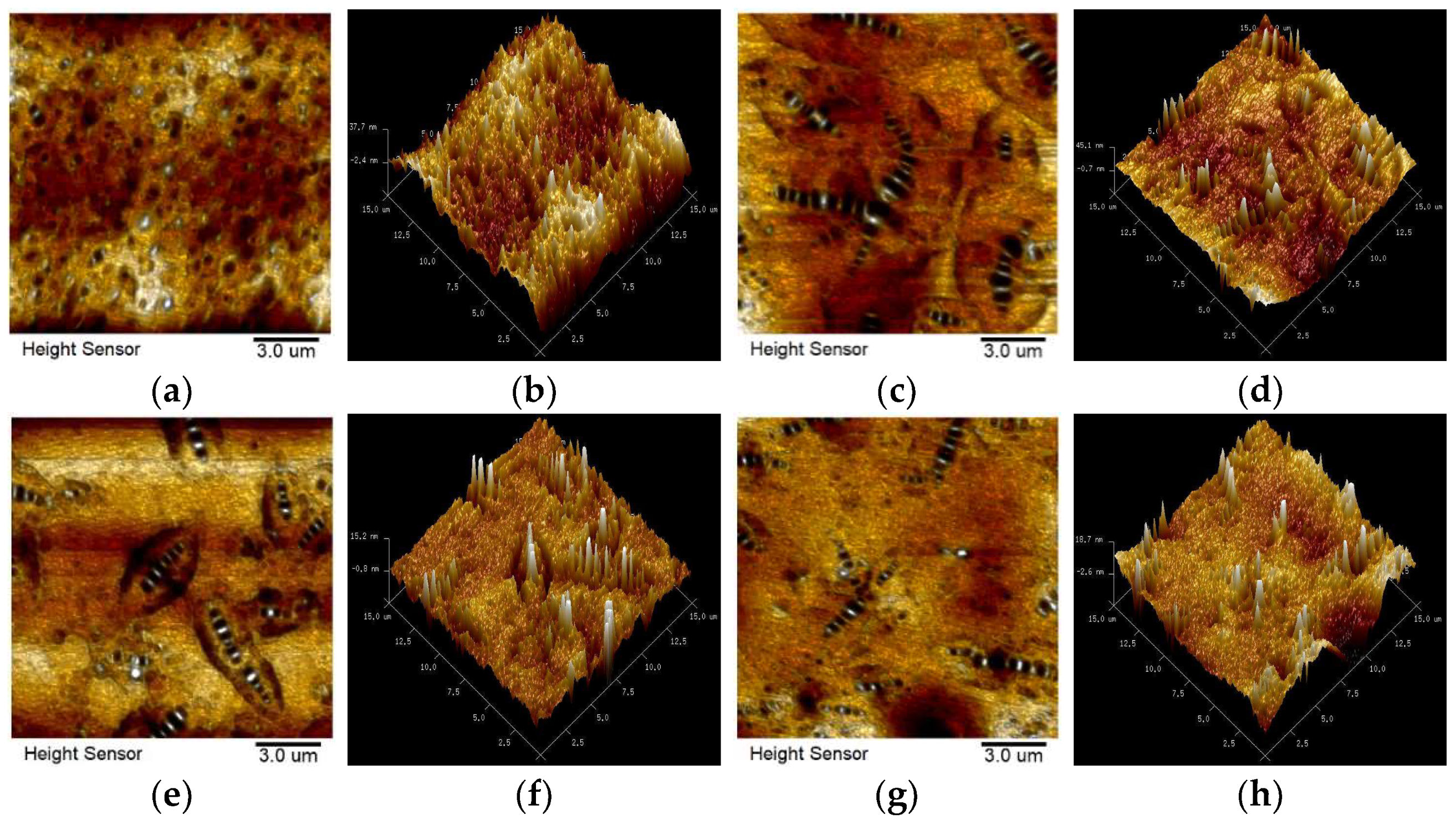 Polymers 15 02911 g011