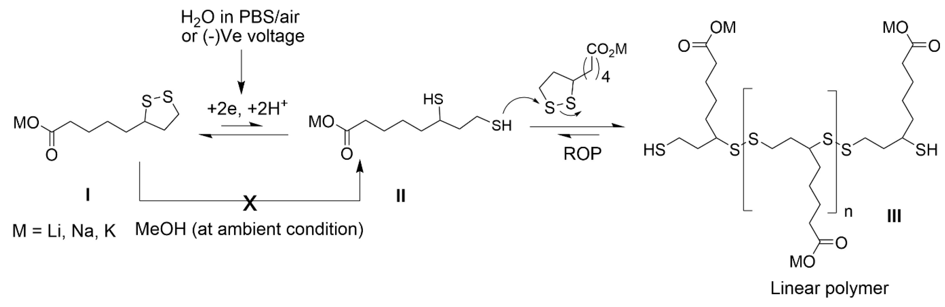 Polymers 15 02921 g001