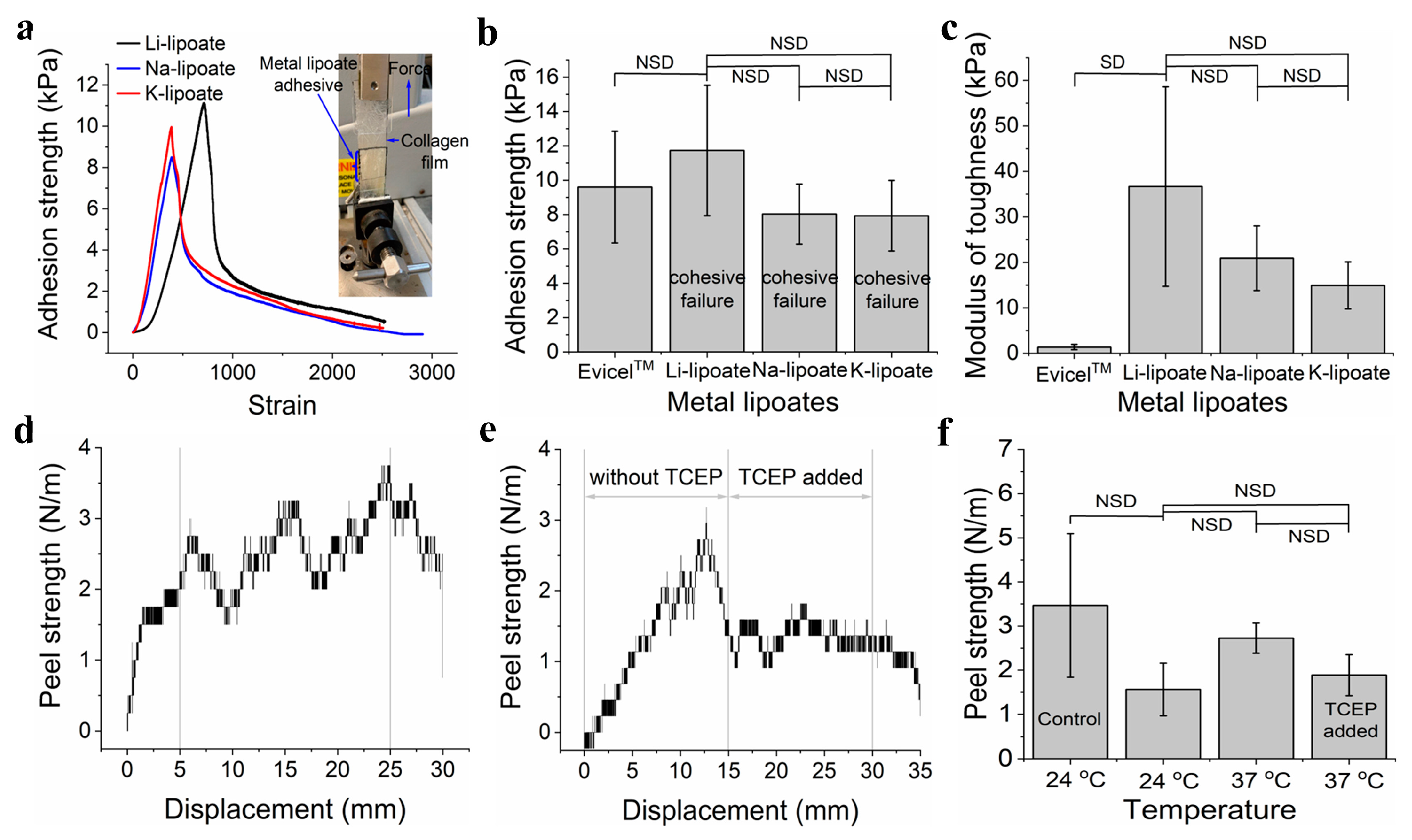 Polymers 15 02921 g005