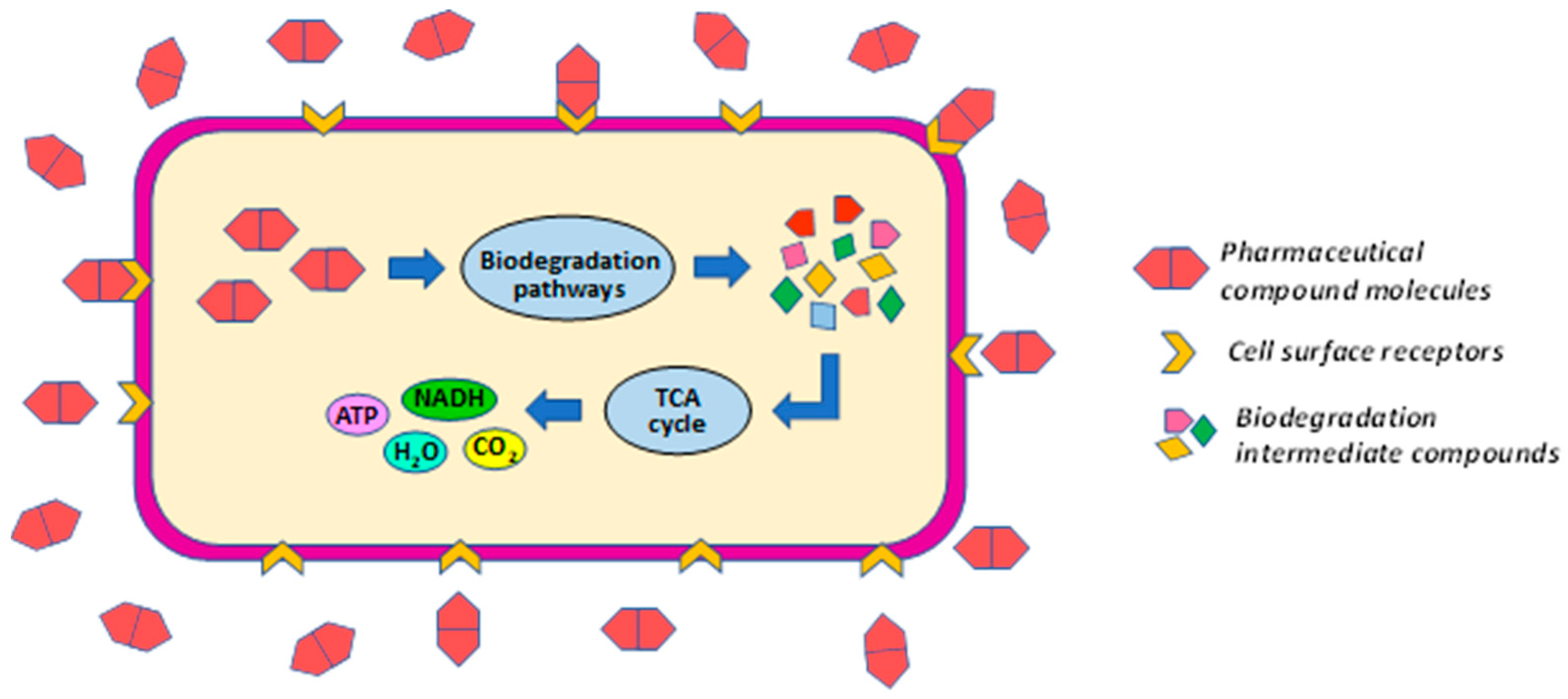 Polymers 15 02923 g005 Polymers 15 02923 g005