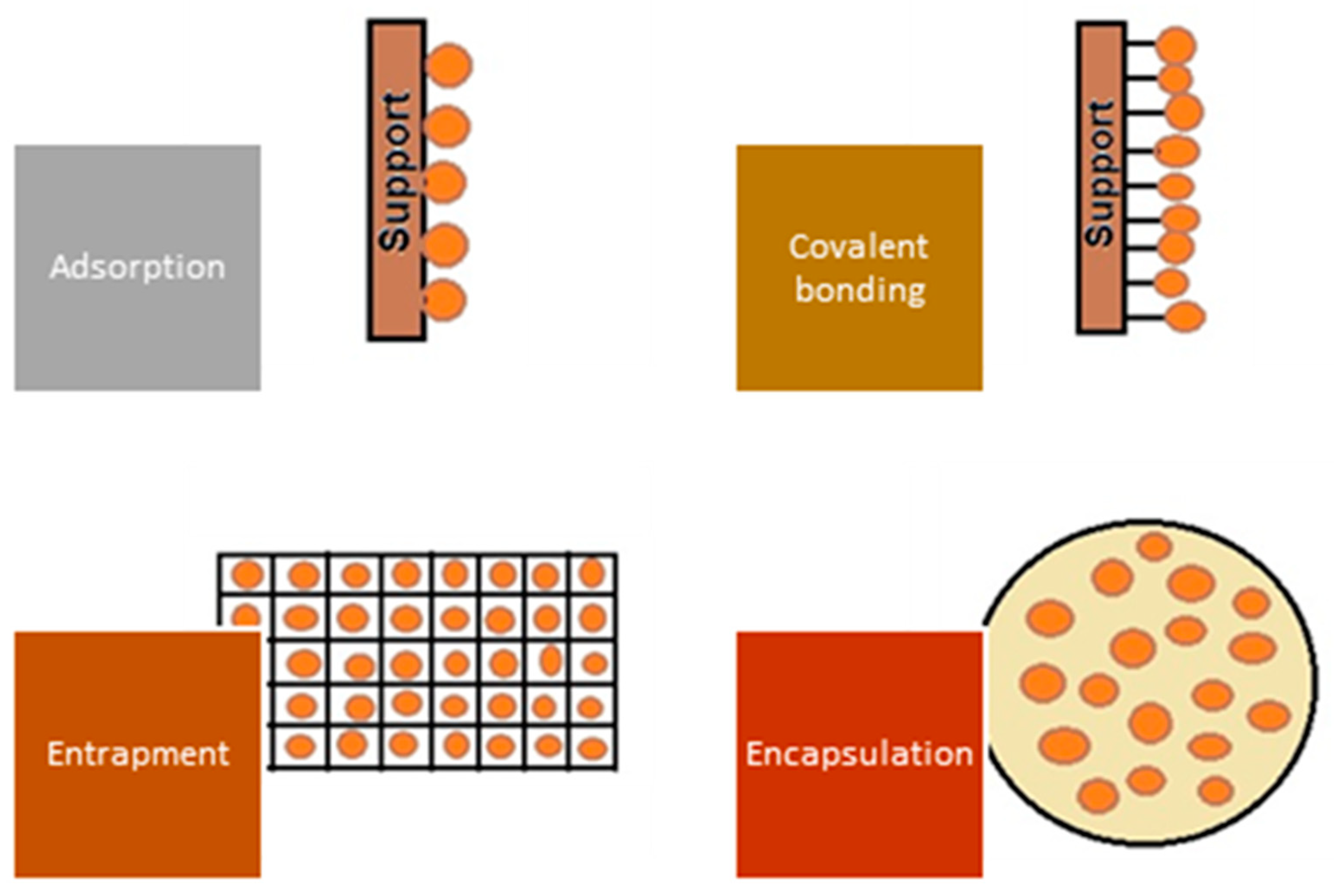 Polymers 15 02923 g006 Polymers 15 02923 g006