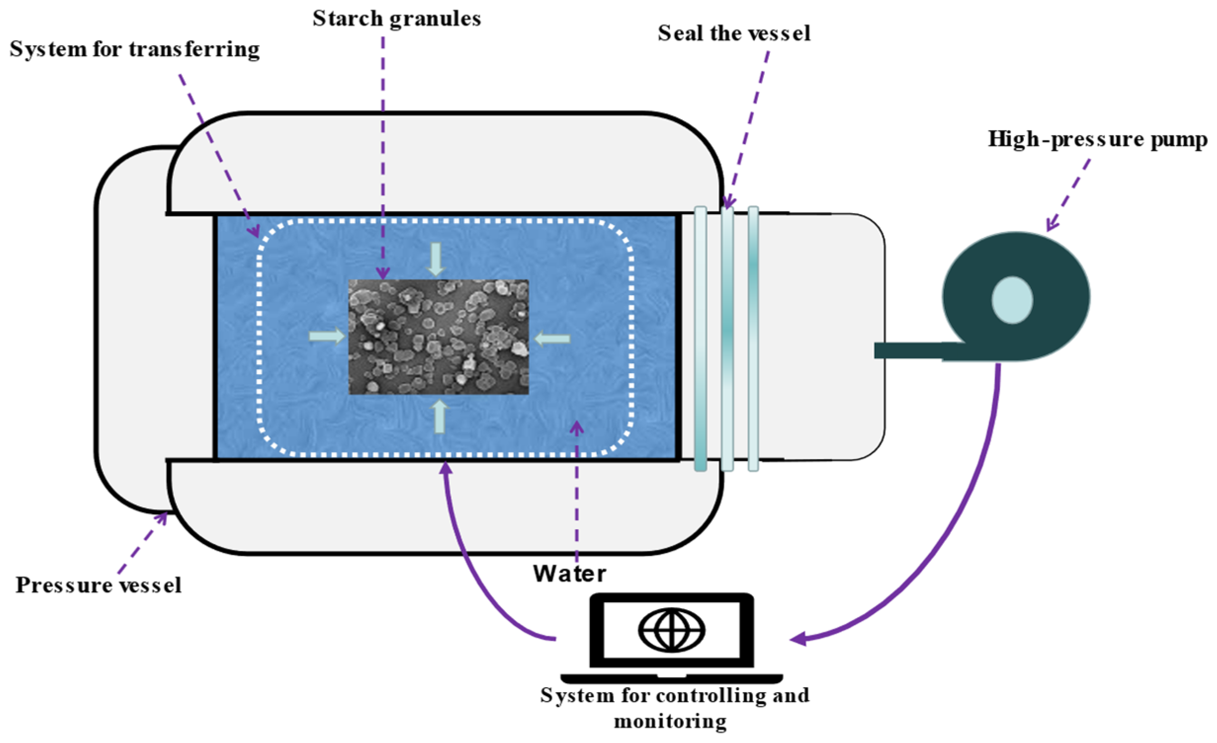 Polymers 15 02935 g004