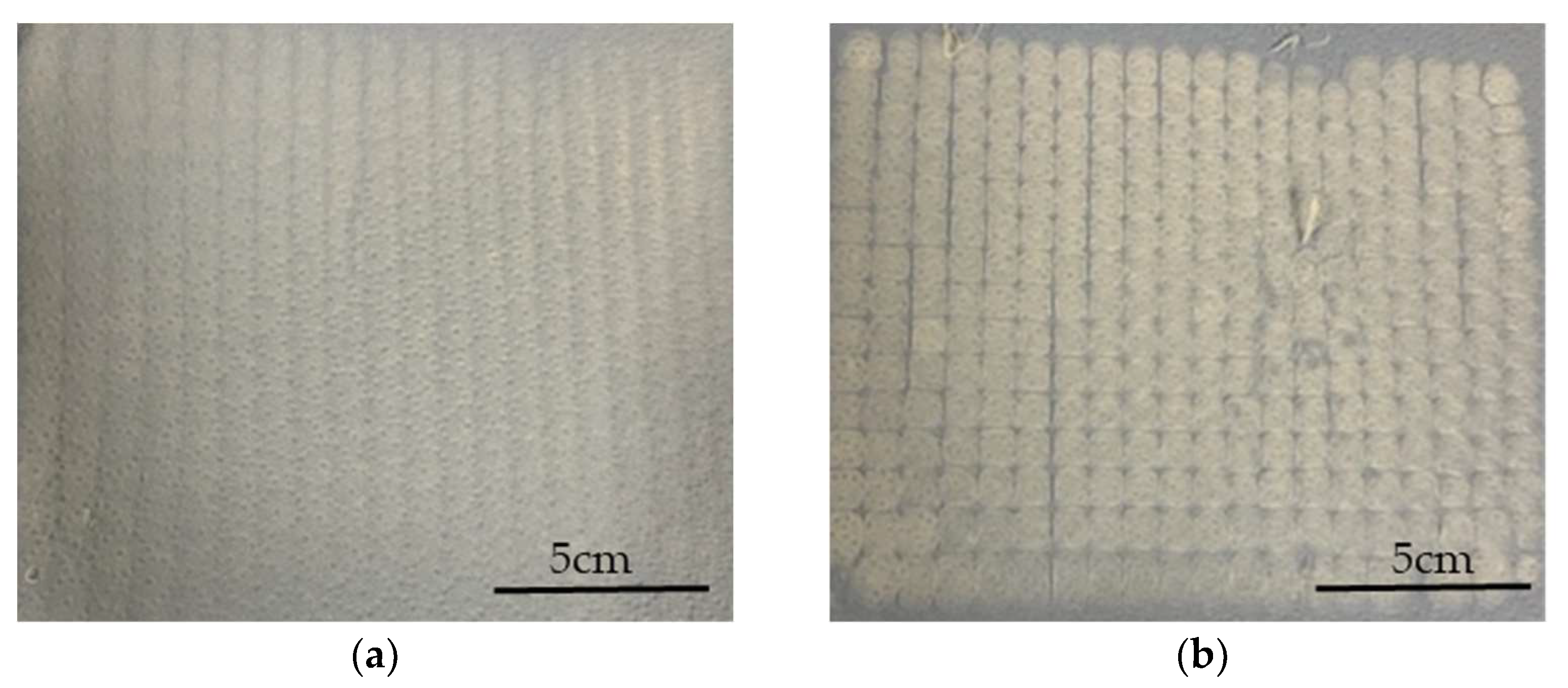 Polymers 15 02936 g007