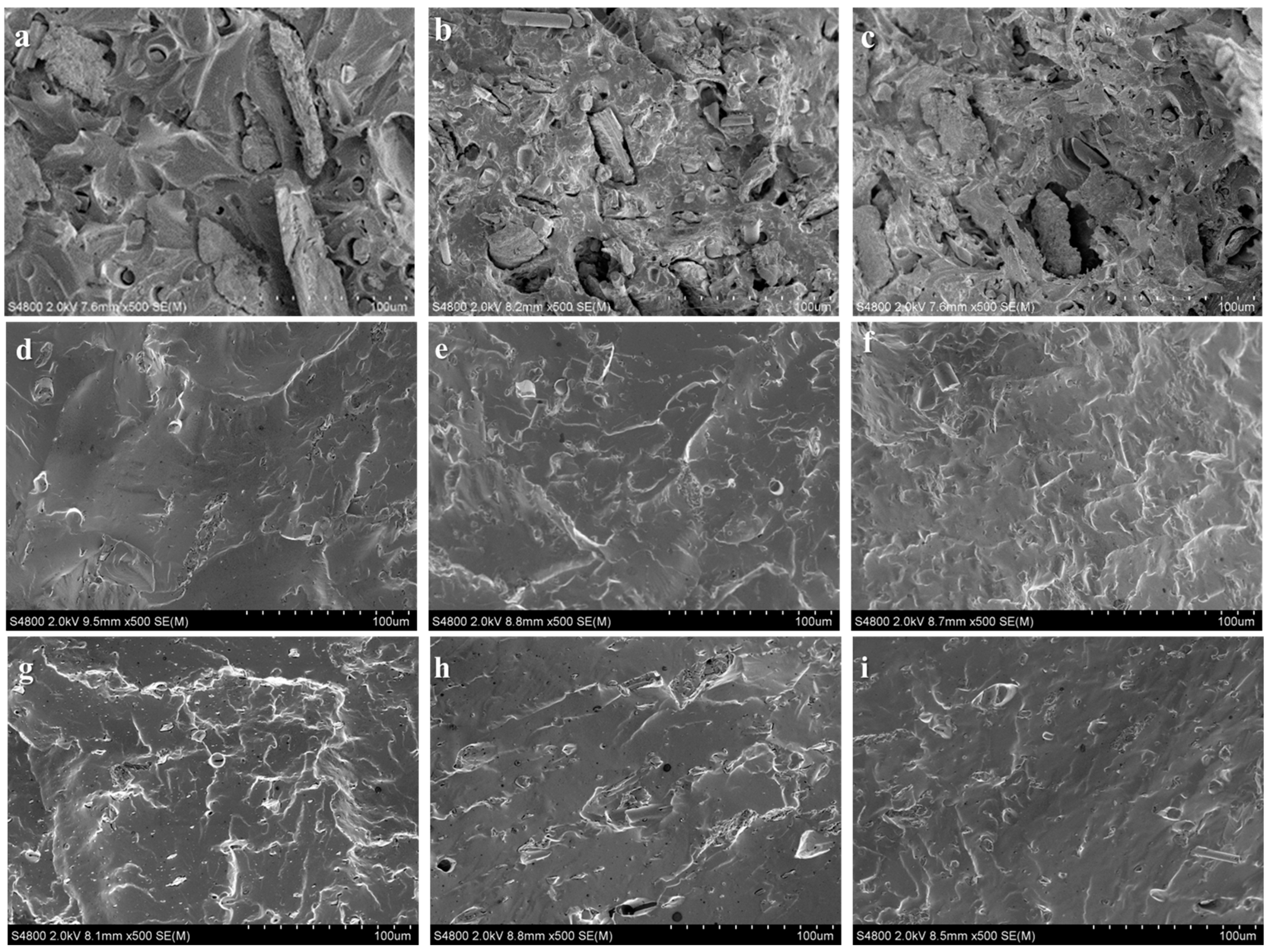 Polymers 15 02938 g005