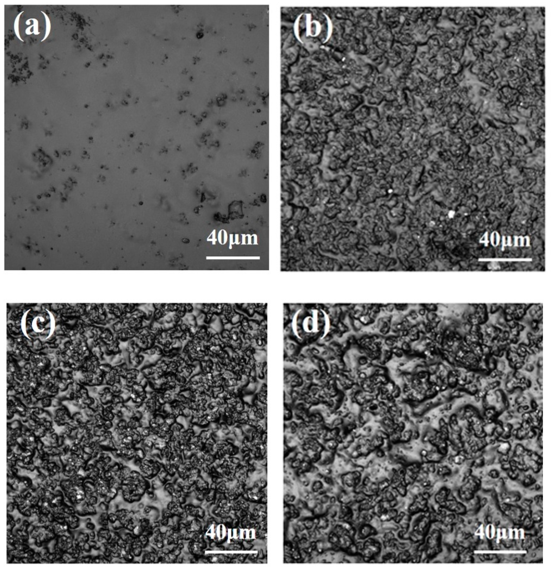 Polymers 15 02944 g008