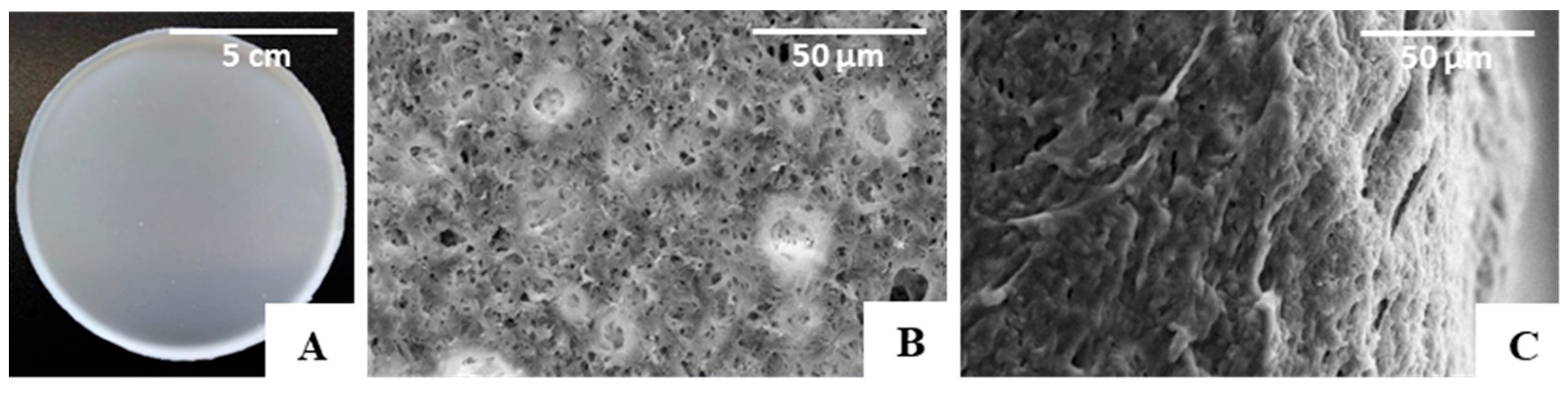 Polymers 15 02945 g004