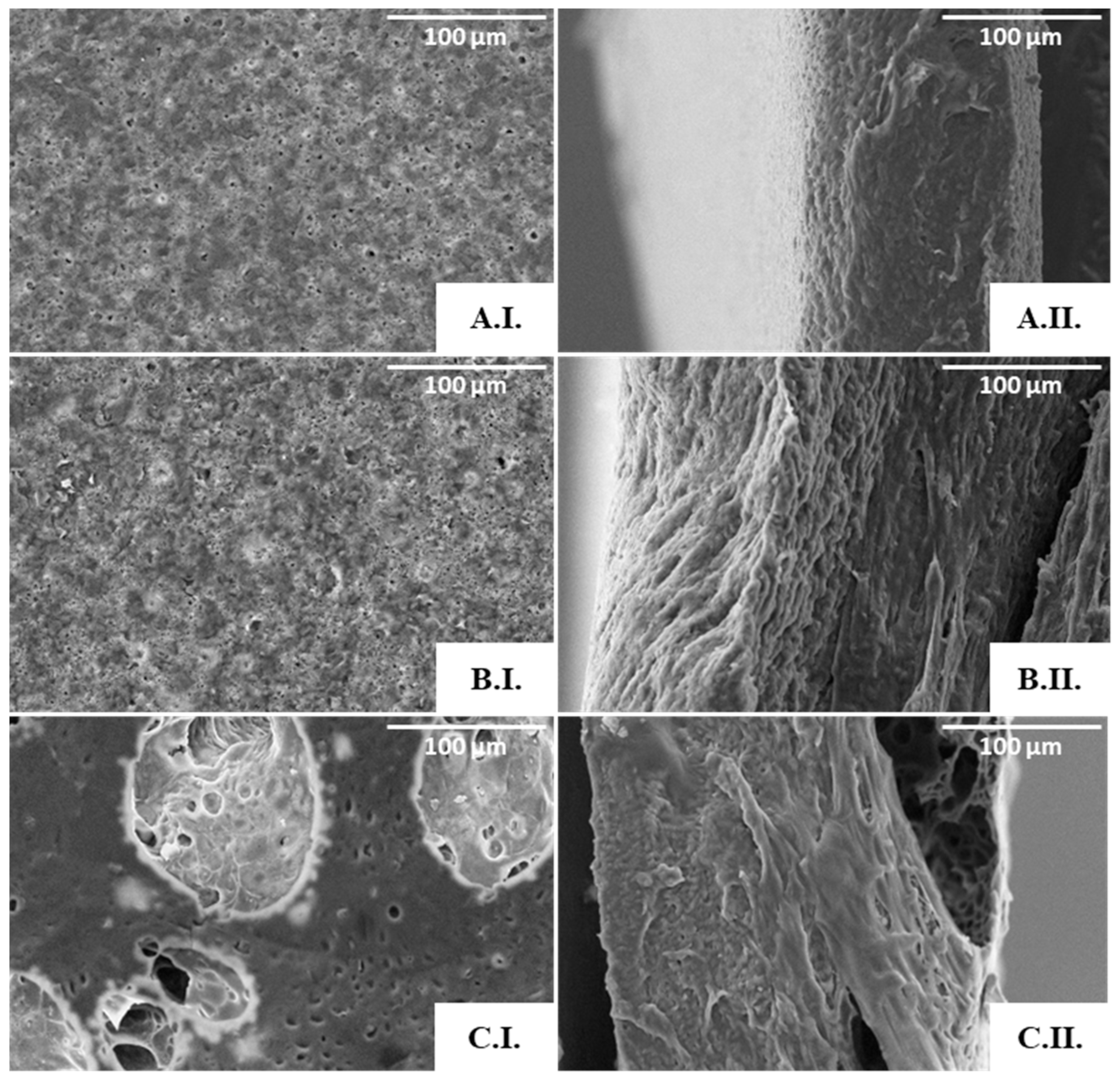 Polymers 15 02945 g006