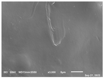 Polymers 15 02946 i002 Polymers 15 02946 i002
