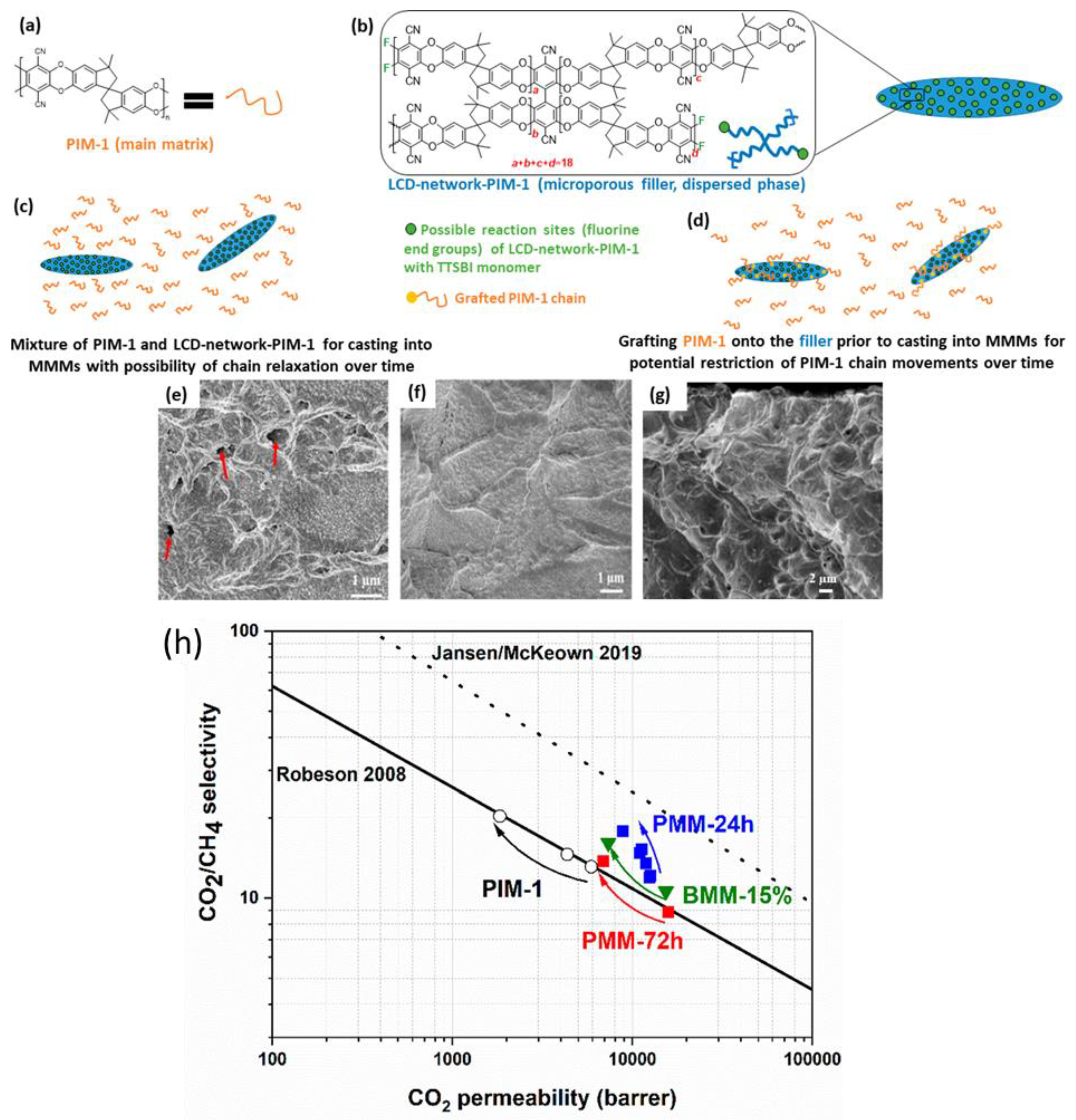 Polymers 15 02951 g011