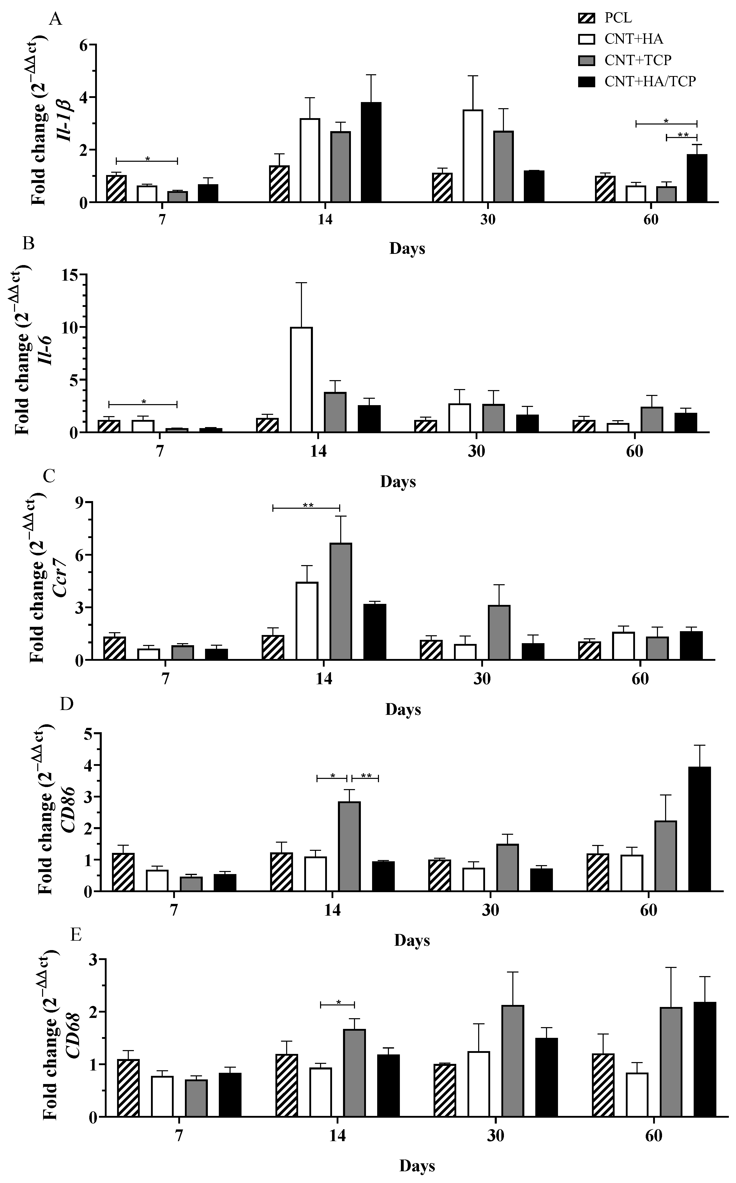 Polymers 15 02952 g002