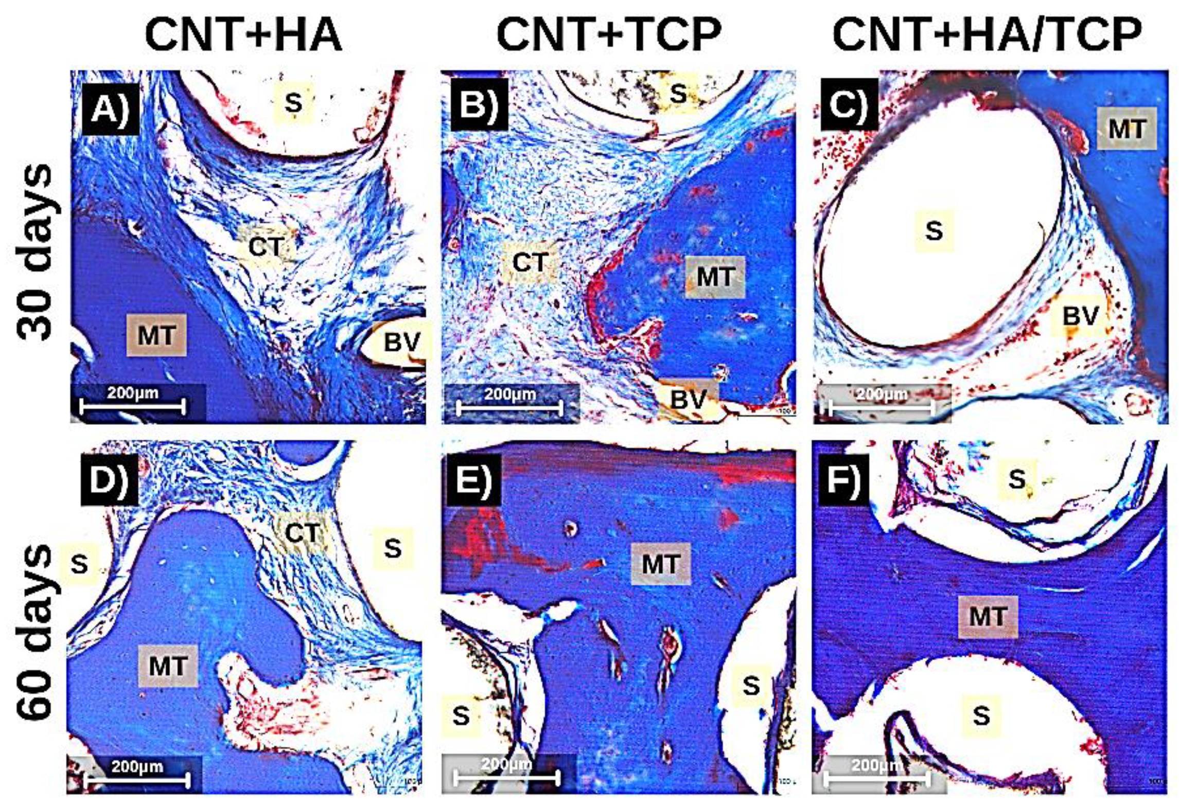 Polymers 15 02952 g005