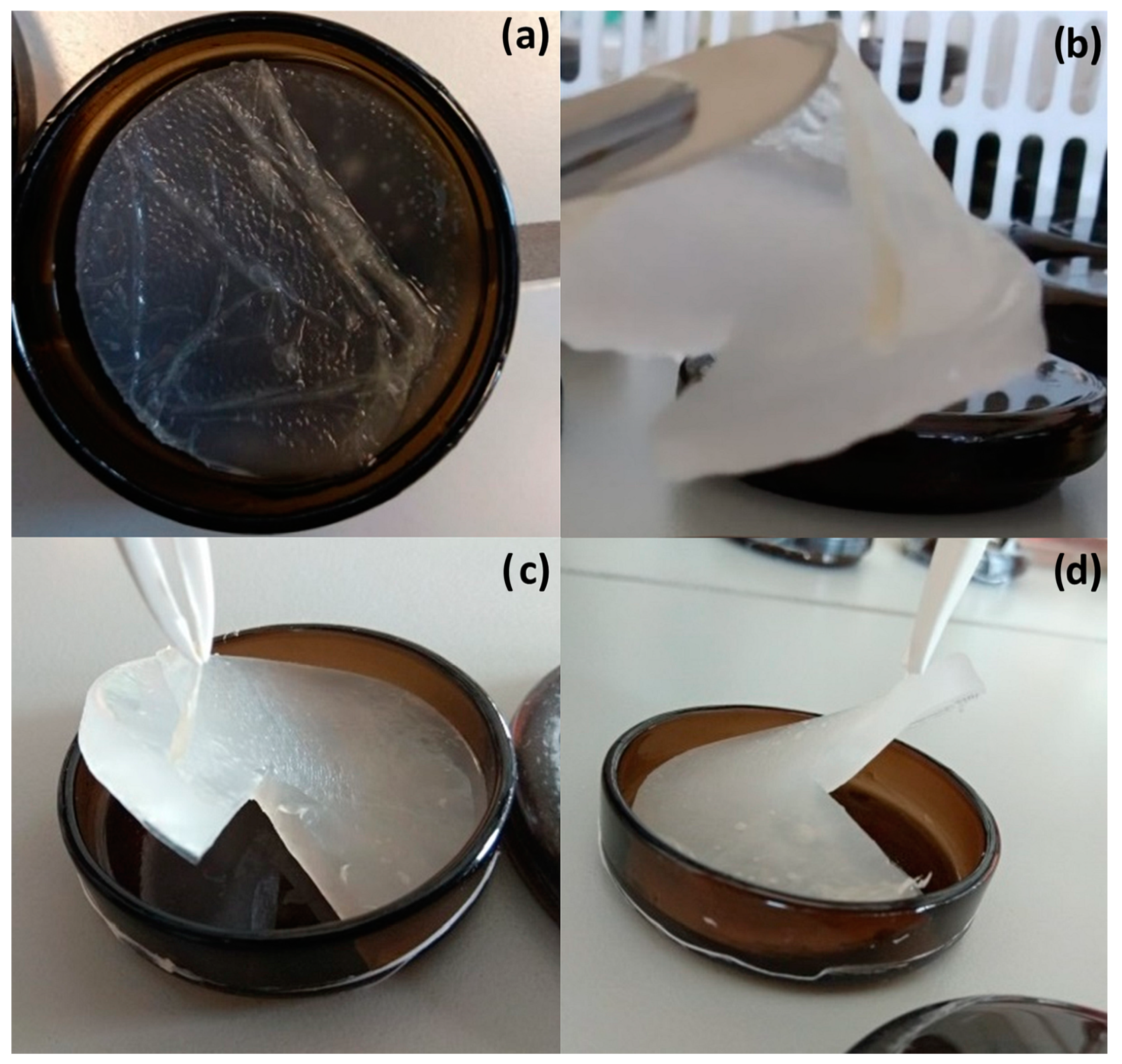 Polymers 15 02955 g003