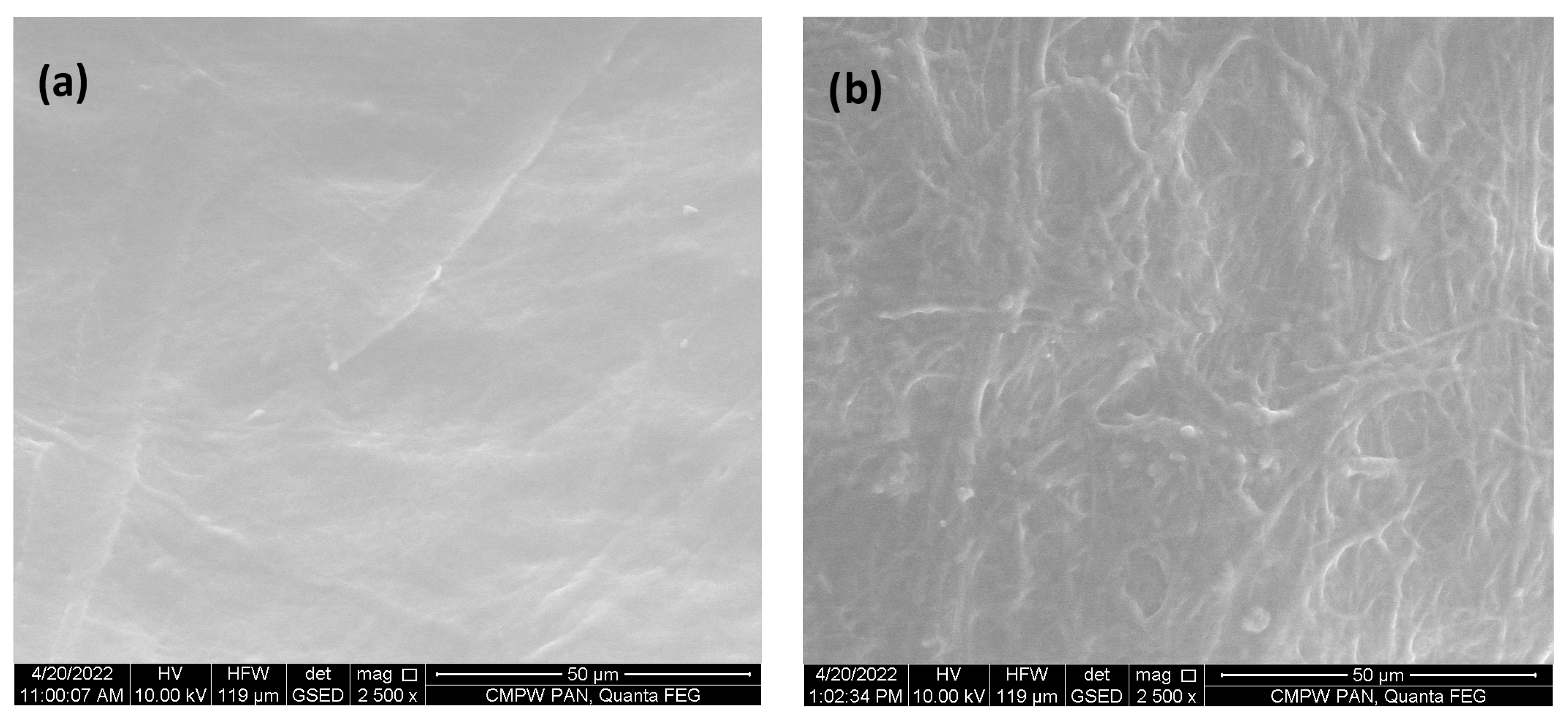 Polymers 15 02955 g005