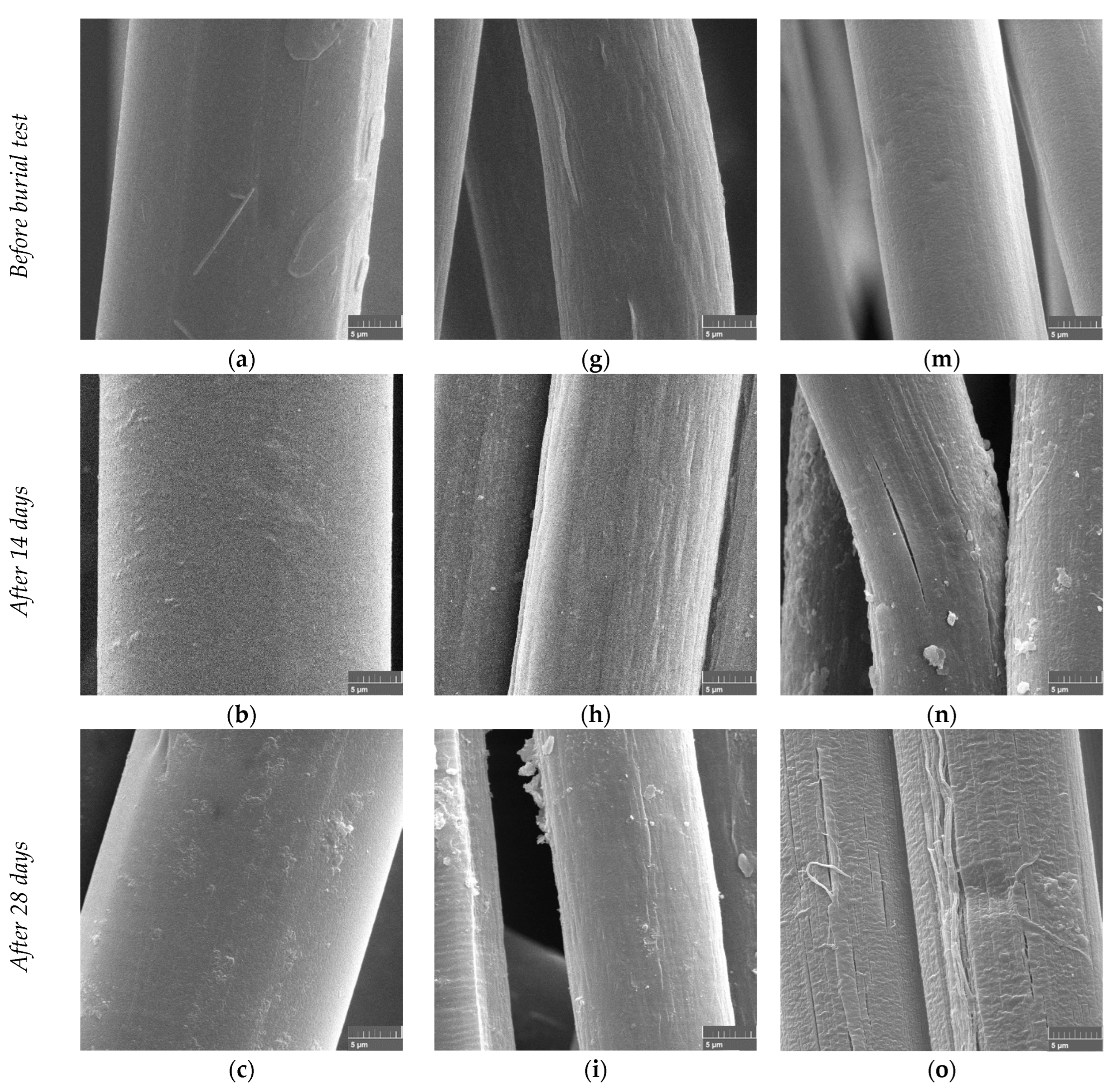 Polymers 15 02959 g002a Polymers 15 02959 g002a