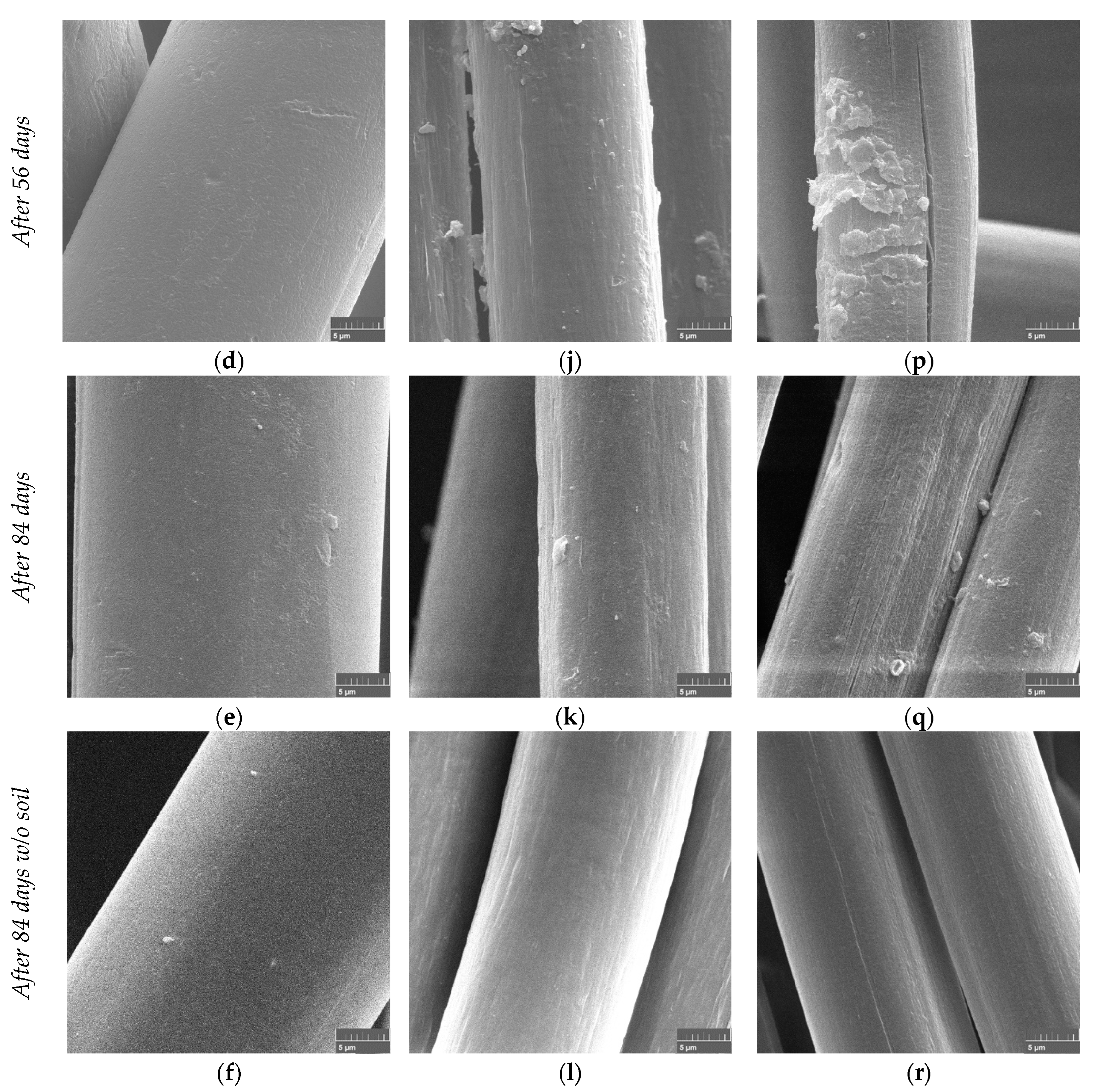 Polymers 15 02959 g002b Polymers 15 02959 g002b