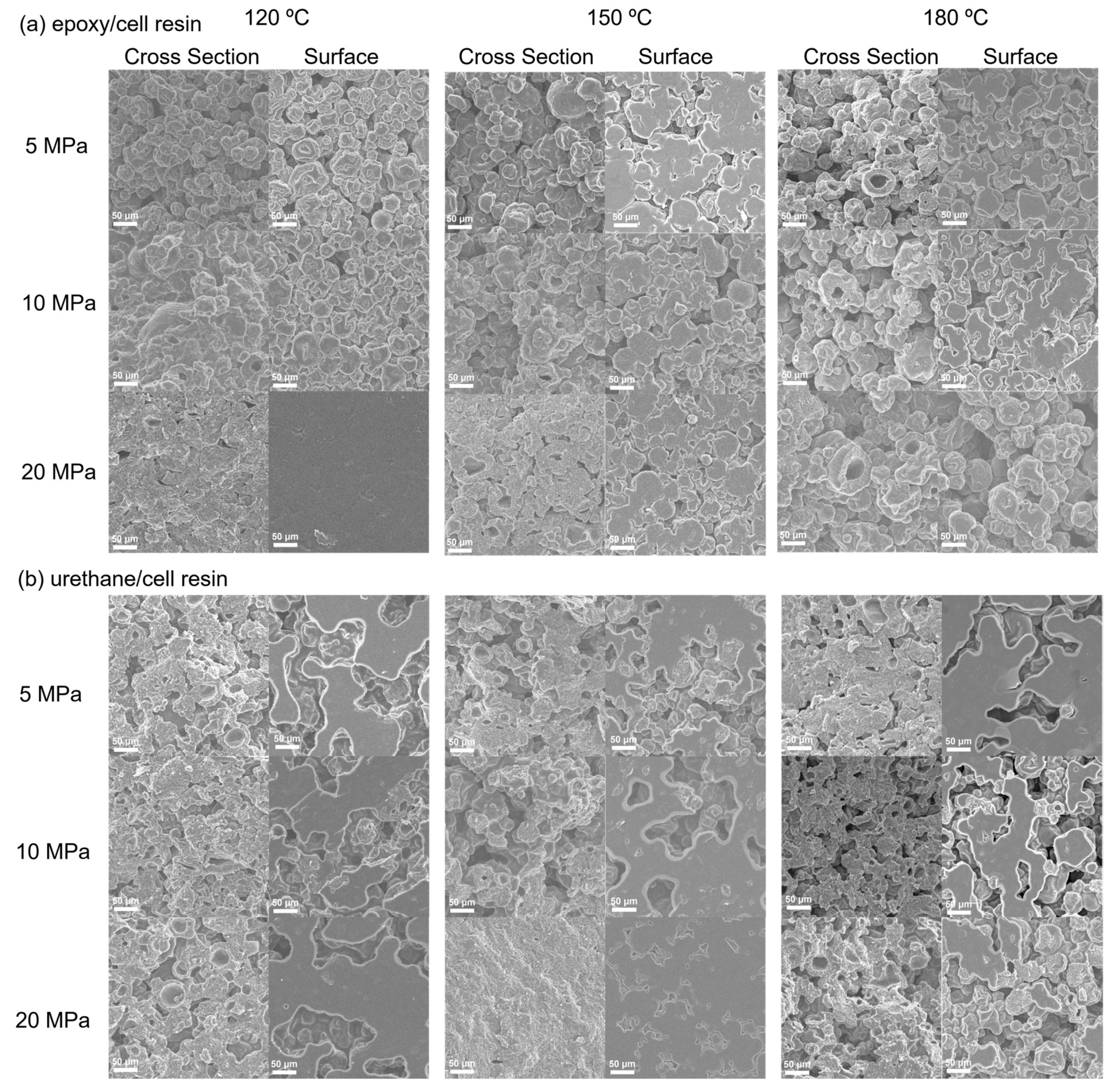 Polymers 15 02968 g003 Polymers 15 02968 g003