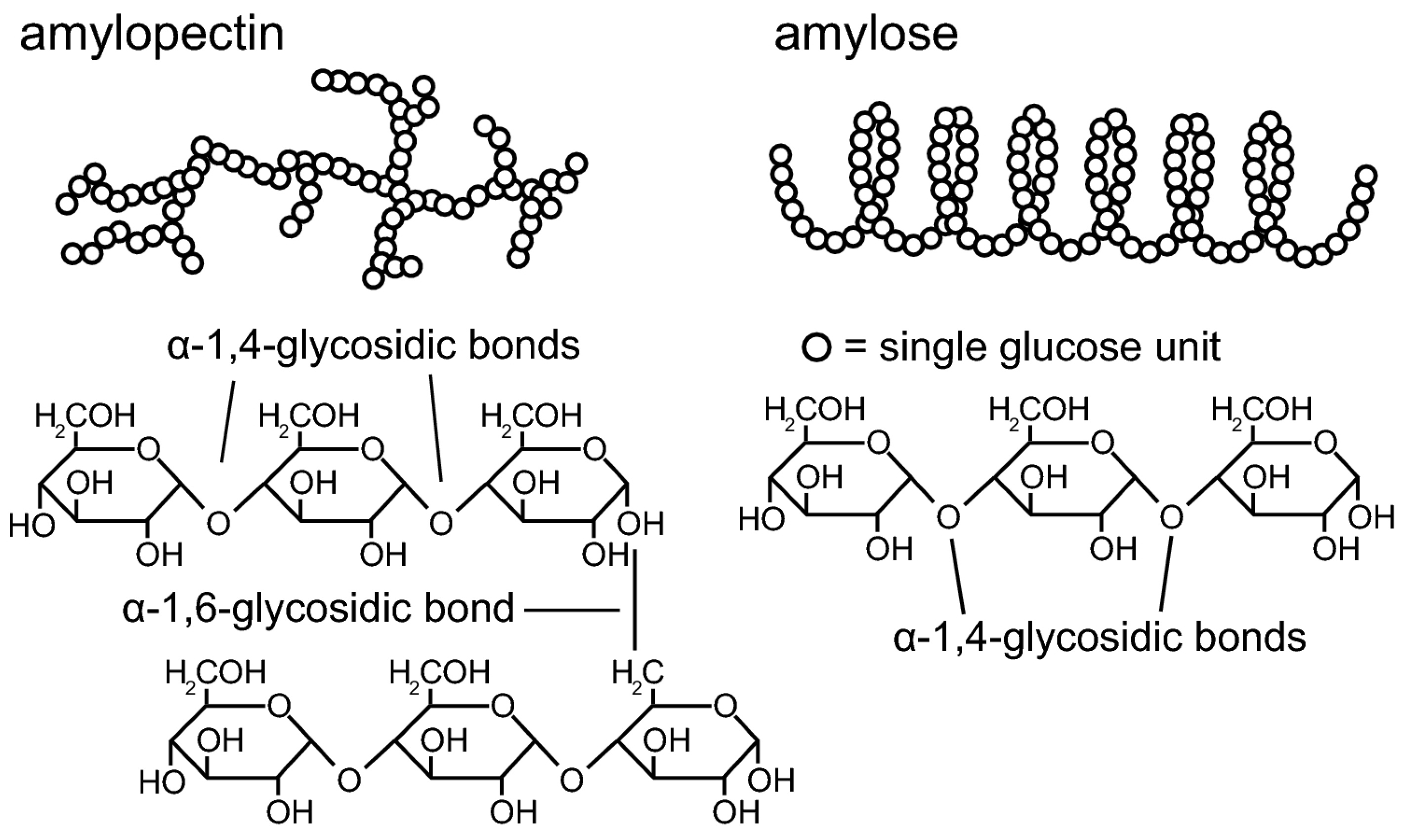 Polymers 15 02972 g002