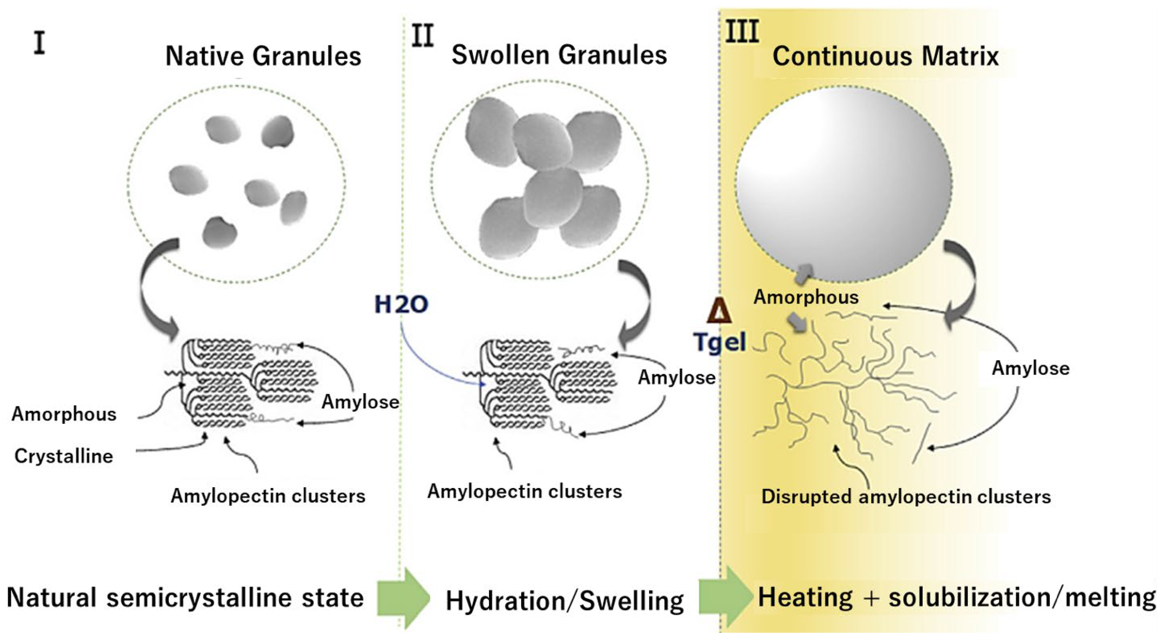 Polymers 15 02972 g004