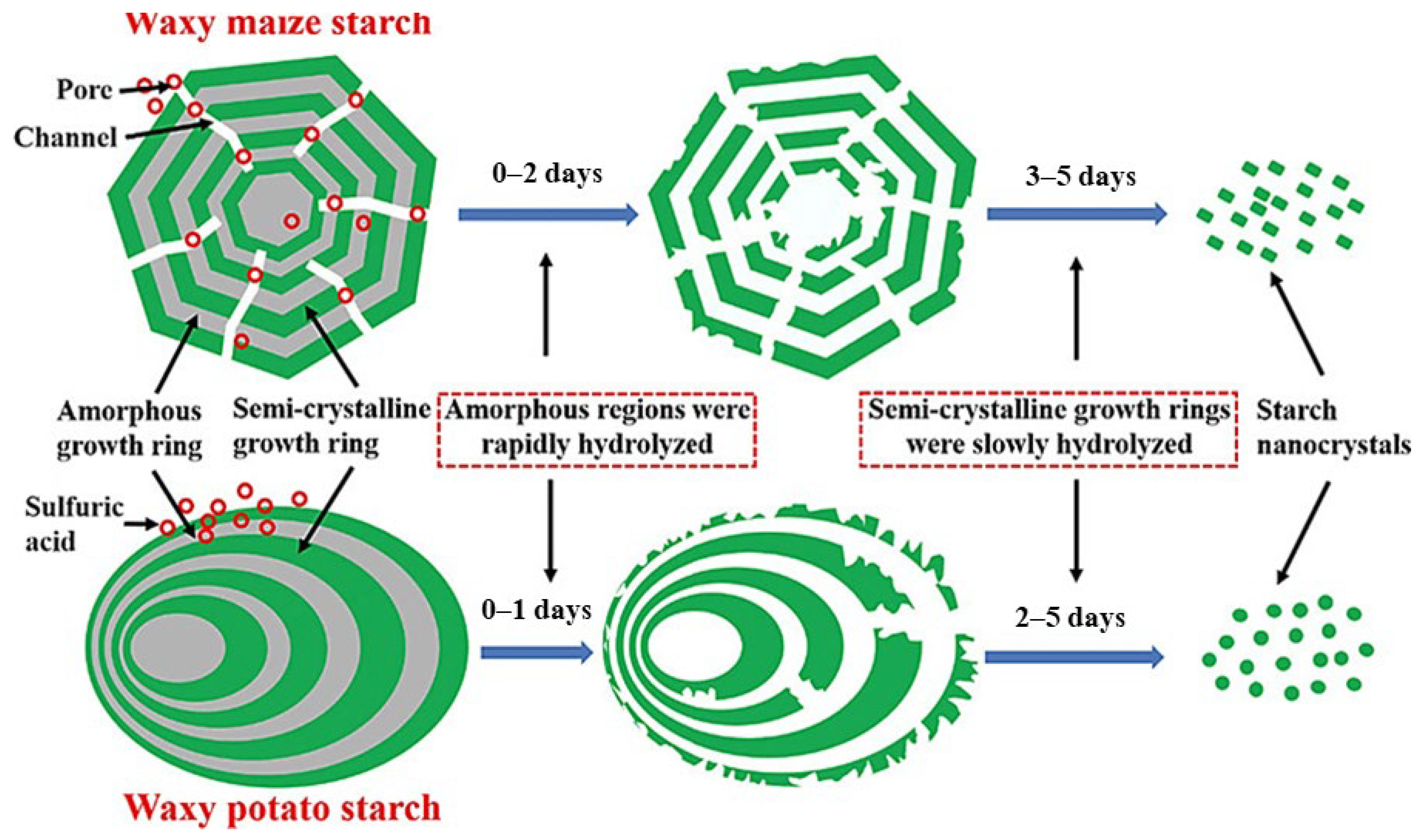 Polymers 15 02972 g009
