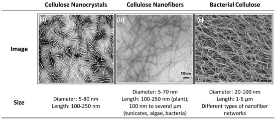 Polymers 15 02972 g011