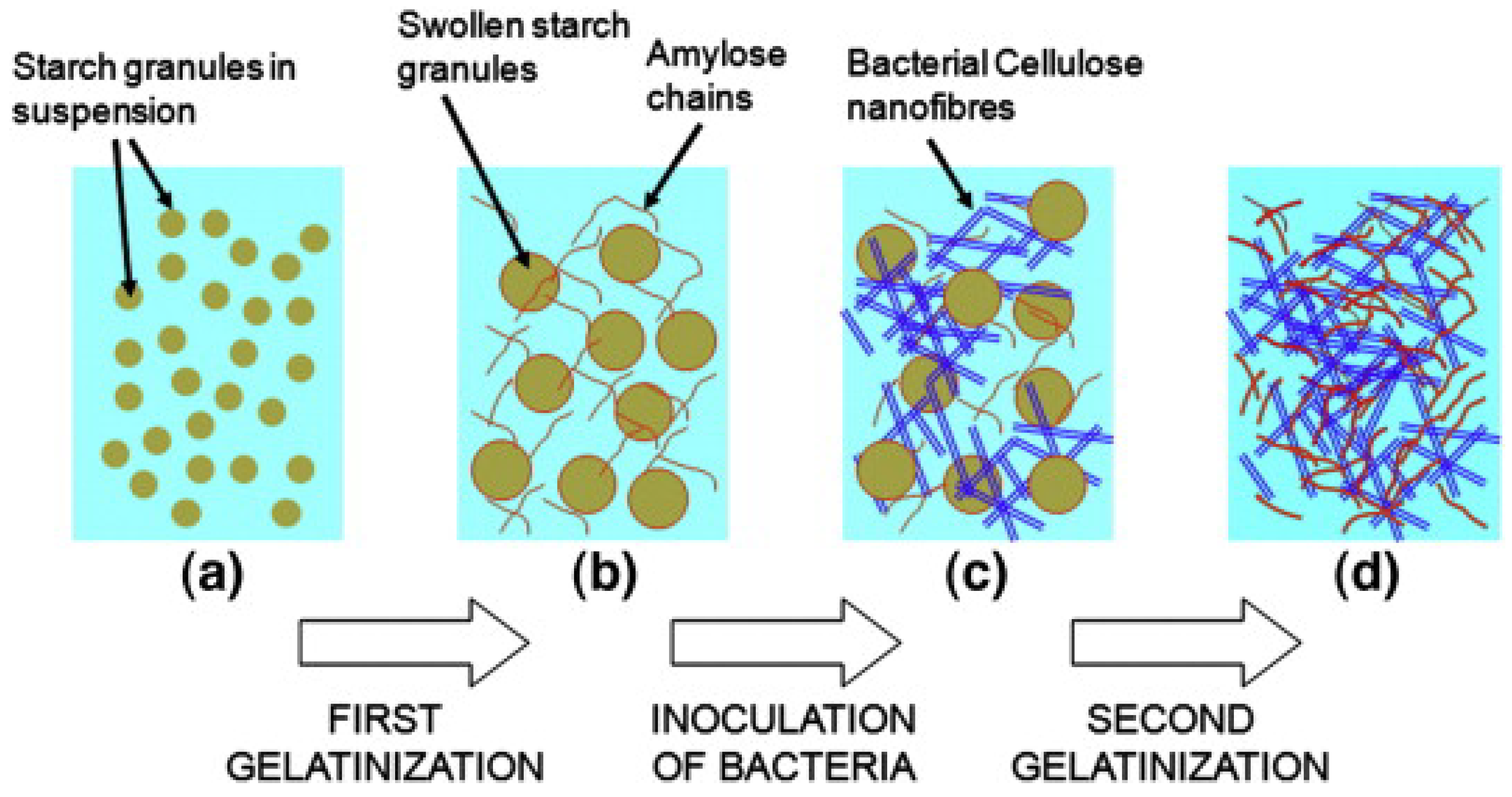 Polymers 15 02972 g013