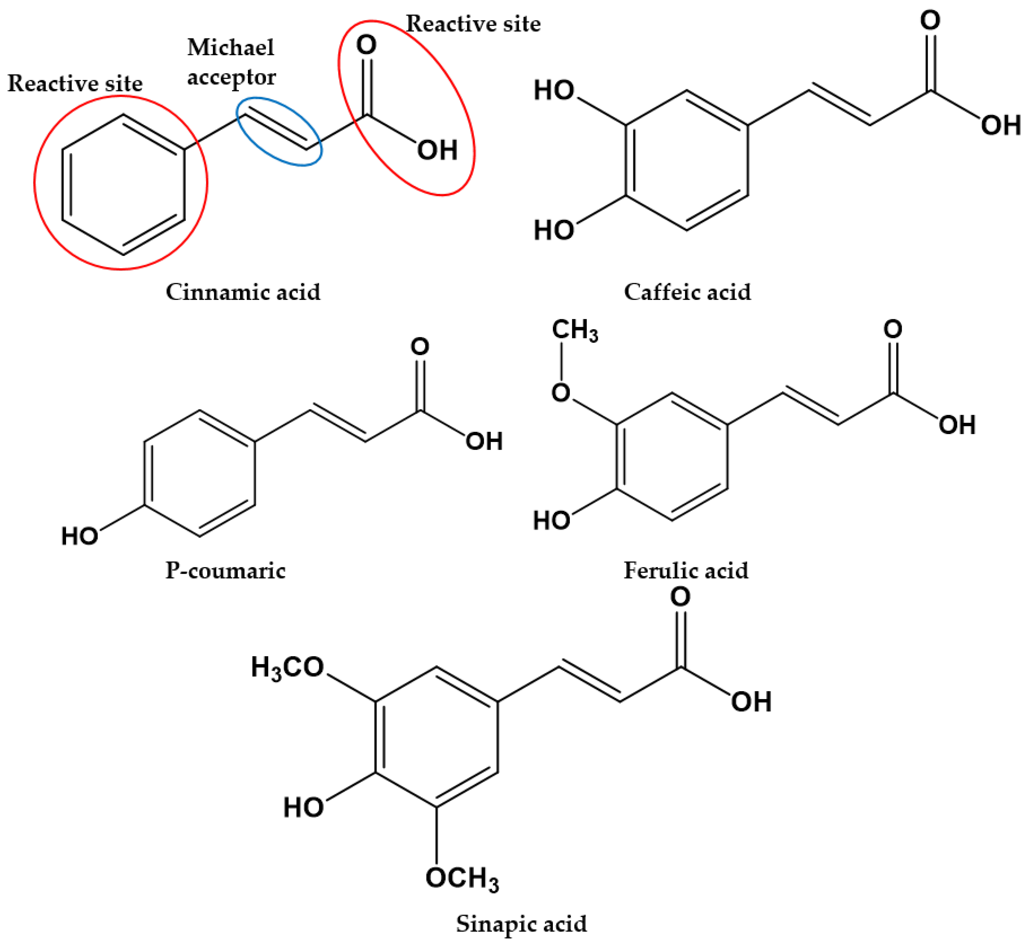 Polymers 15 02972 g019