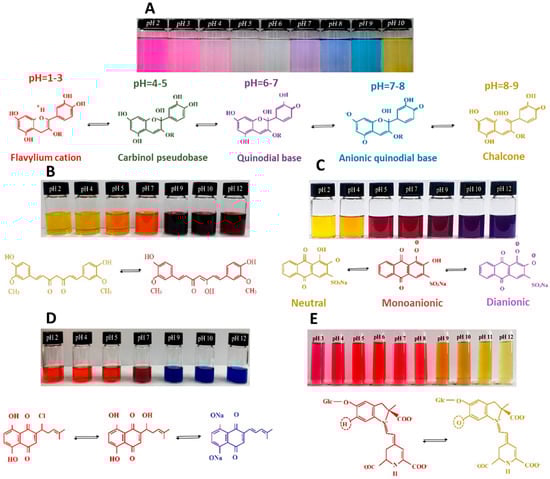 Polymers 15 02972 g020