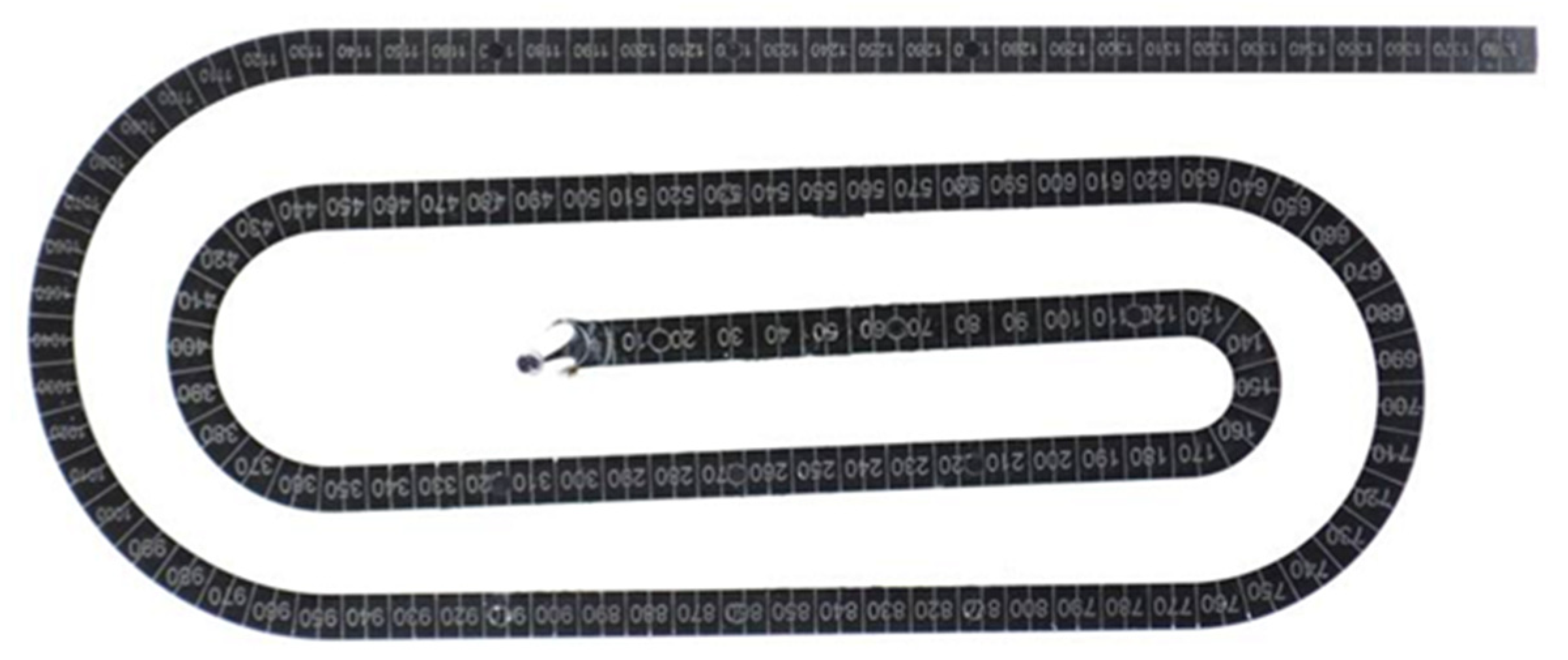 Polymers 15 02984 g017