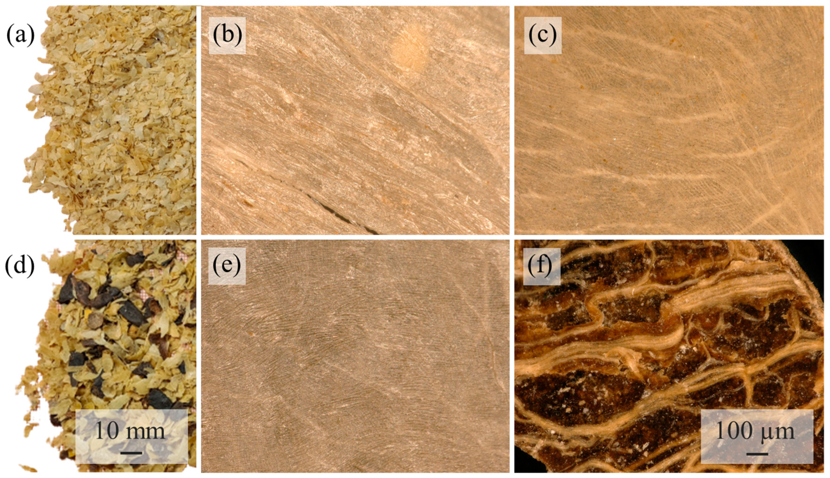 Polymers 15 02985 g003