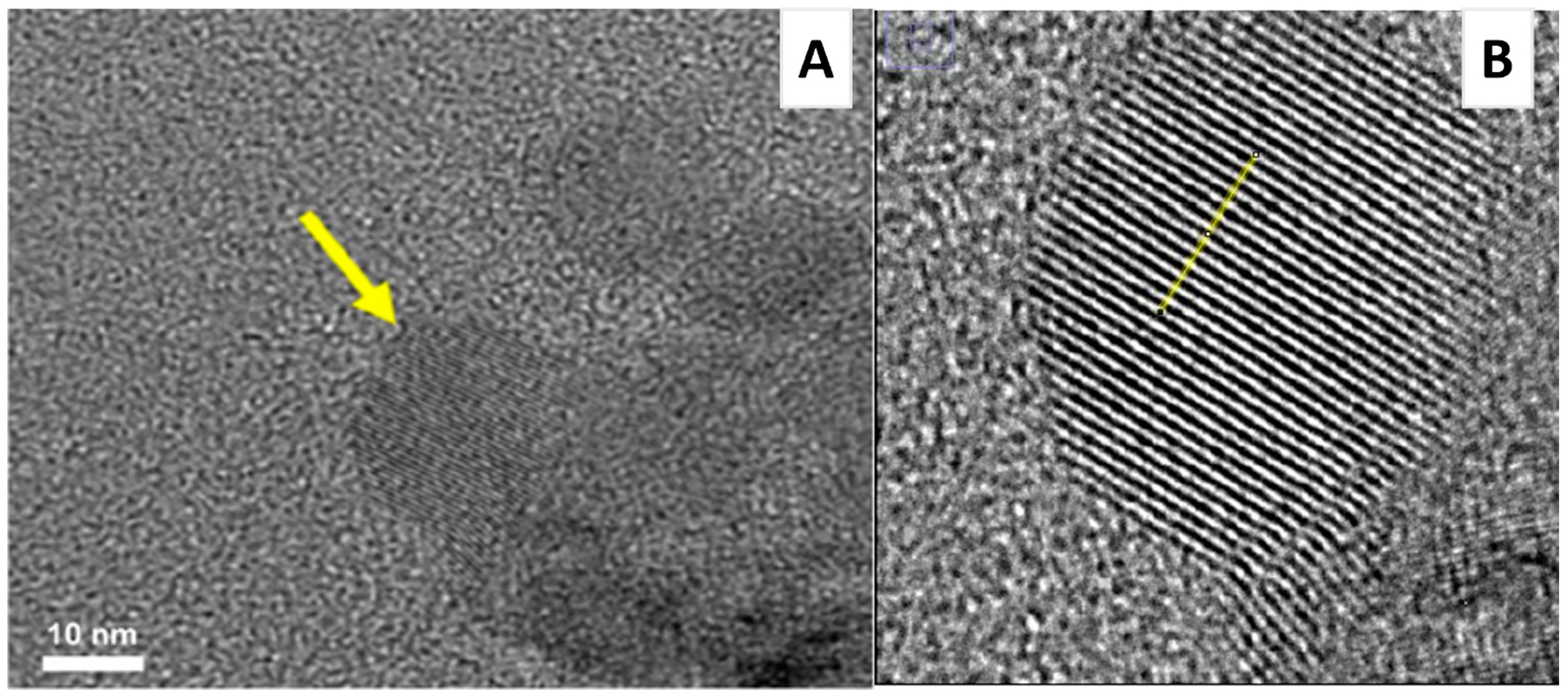 Polymers 15 02987 g010