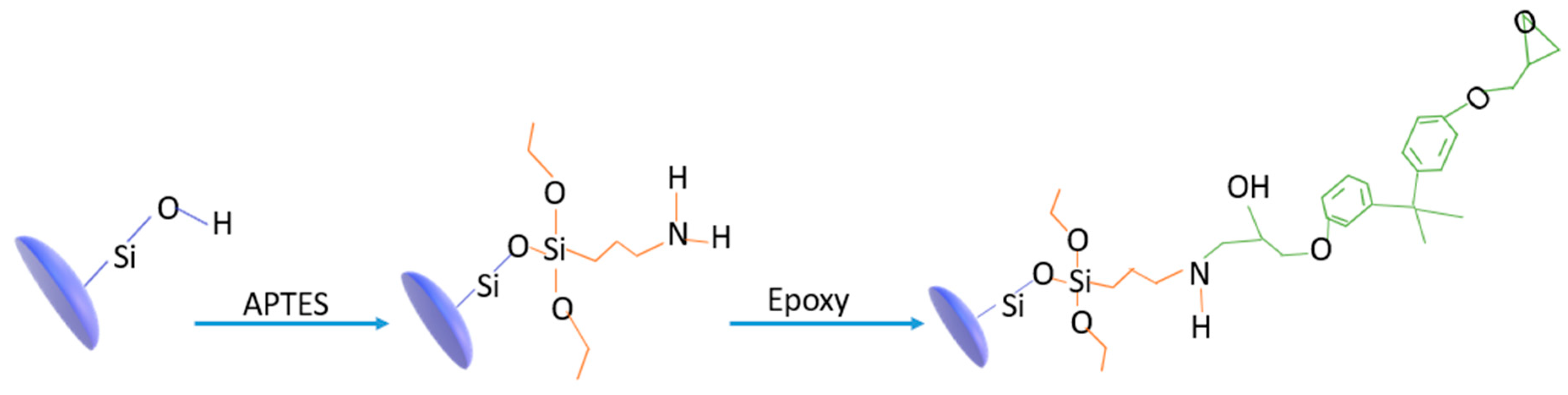 Polymers 15 02987 sch001